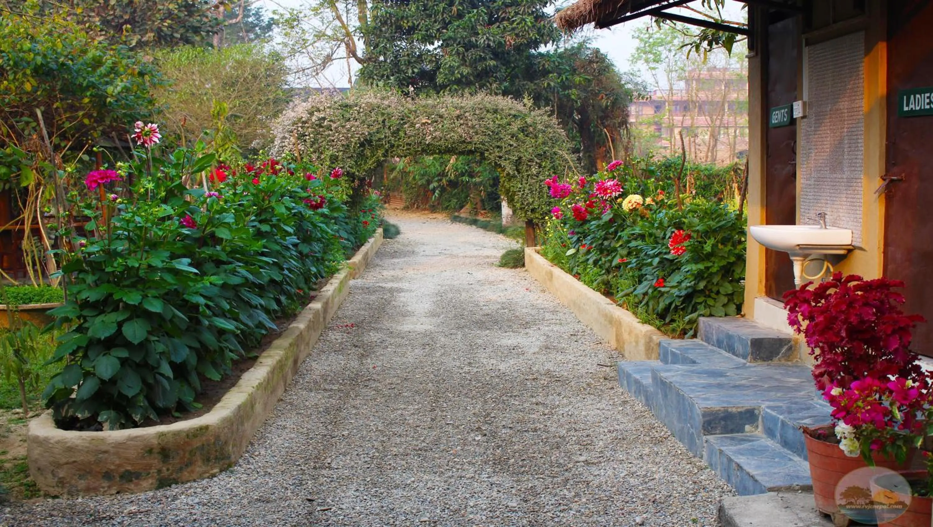 Garden in River View Jungle Camp