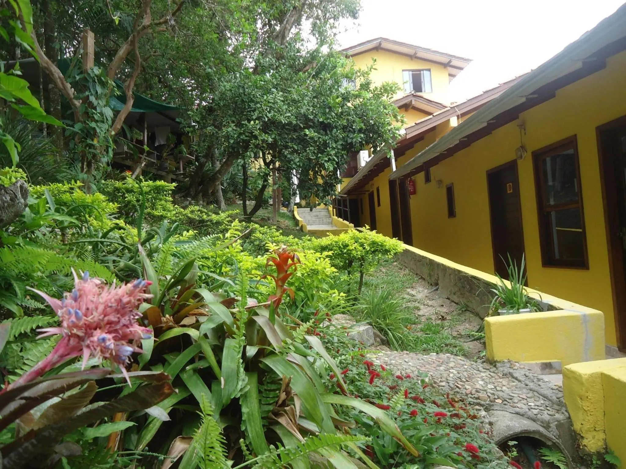 Property building in La Luna