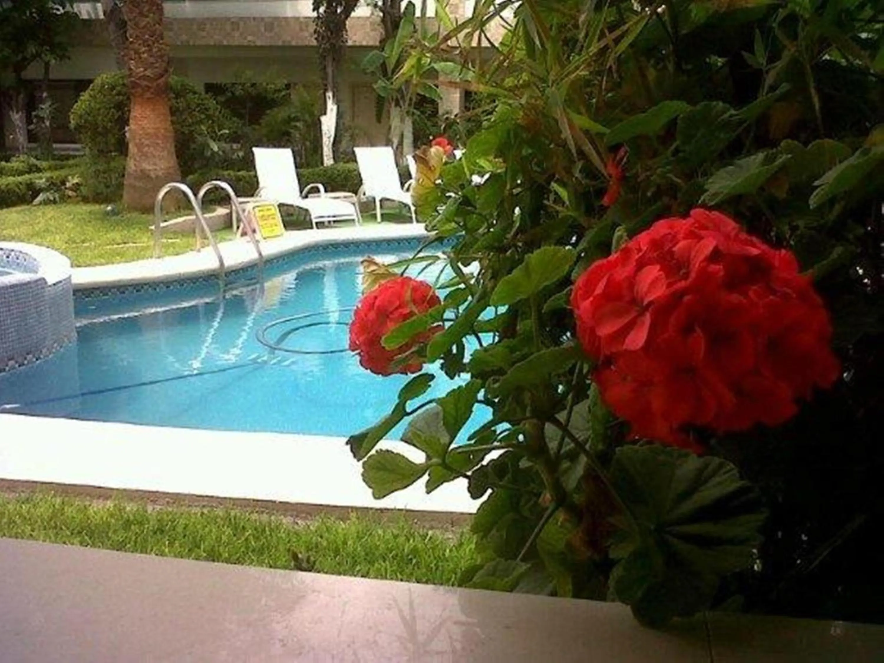 Swimming pool in Hotel Cuellar