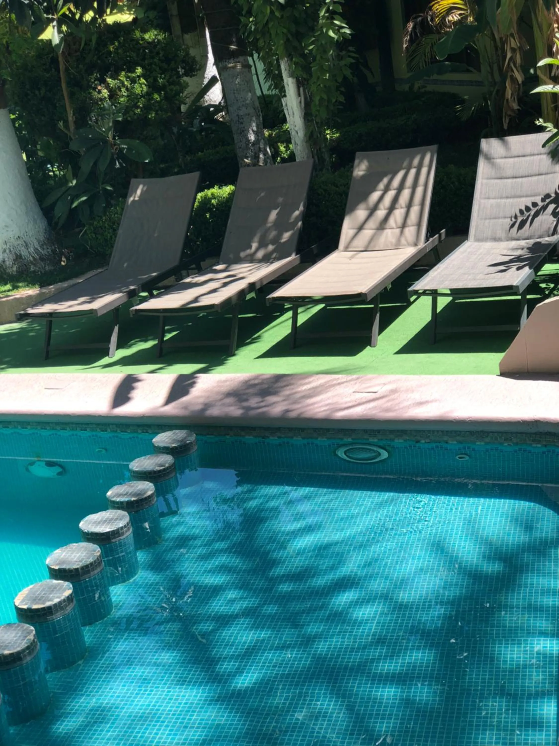 Garden in Hotel Cuellar