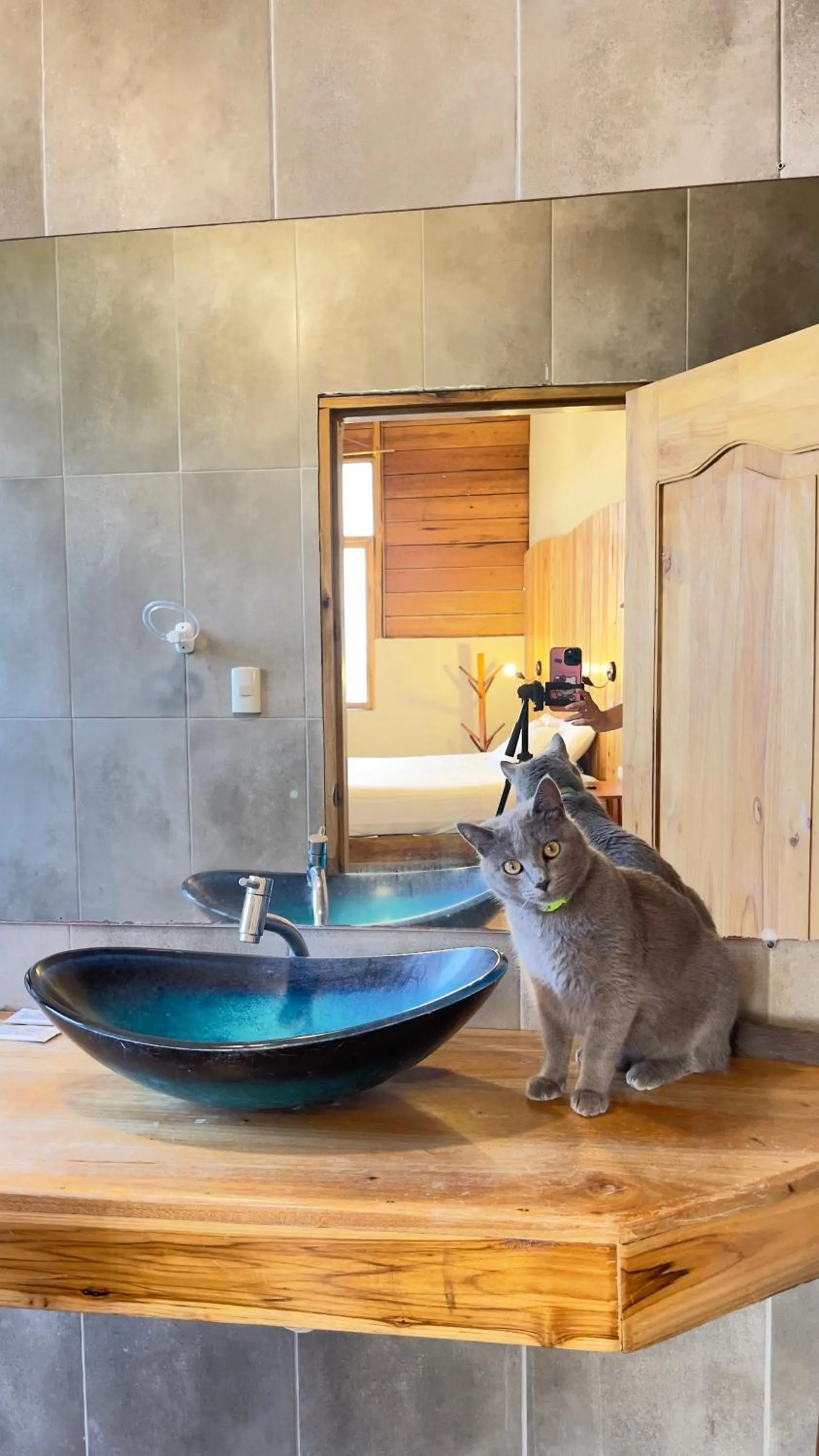 Pets in Punta Hills Montanita