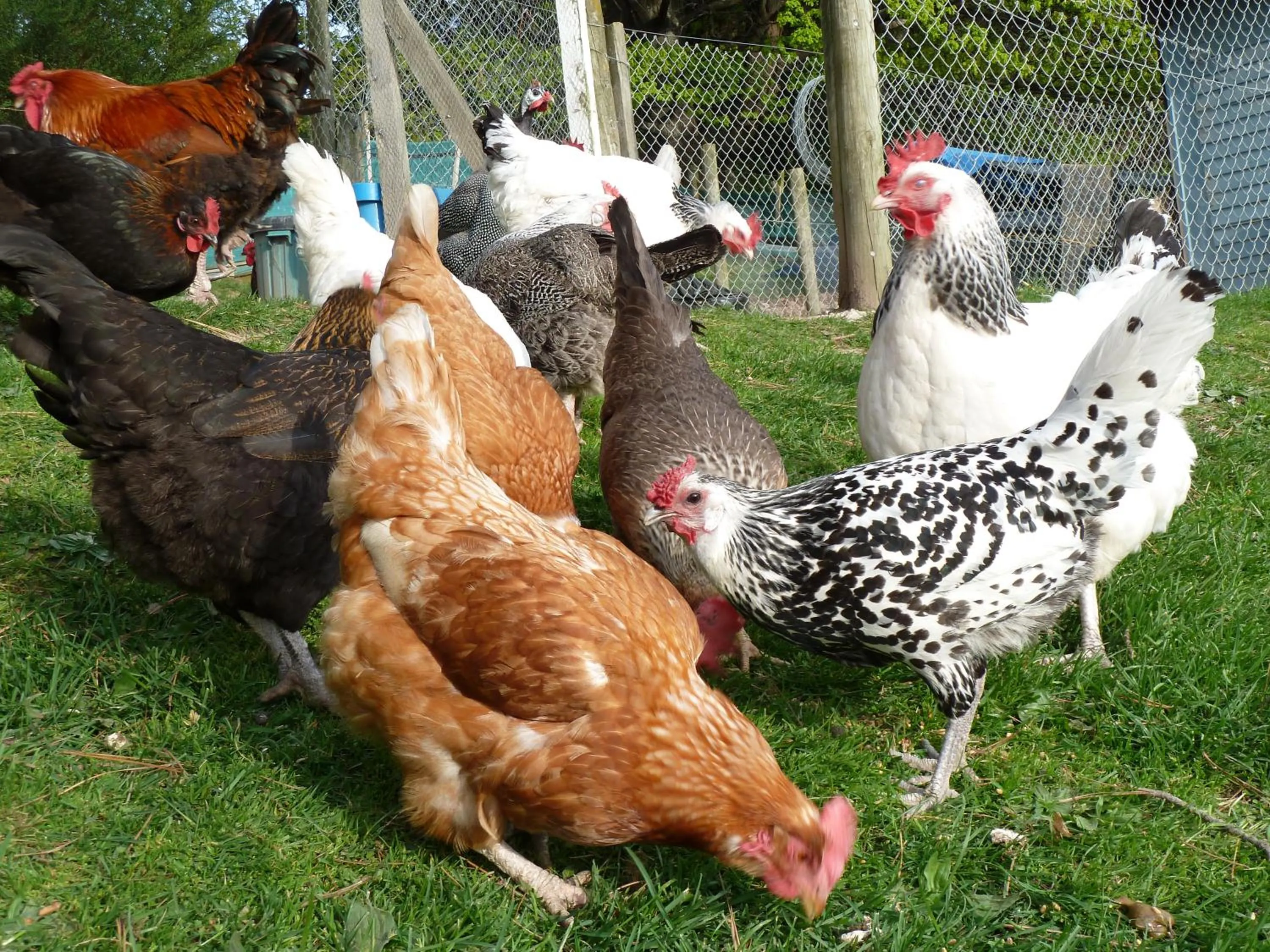 L'abri Bed and Breakfast