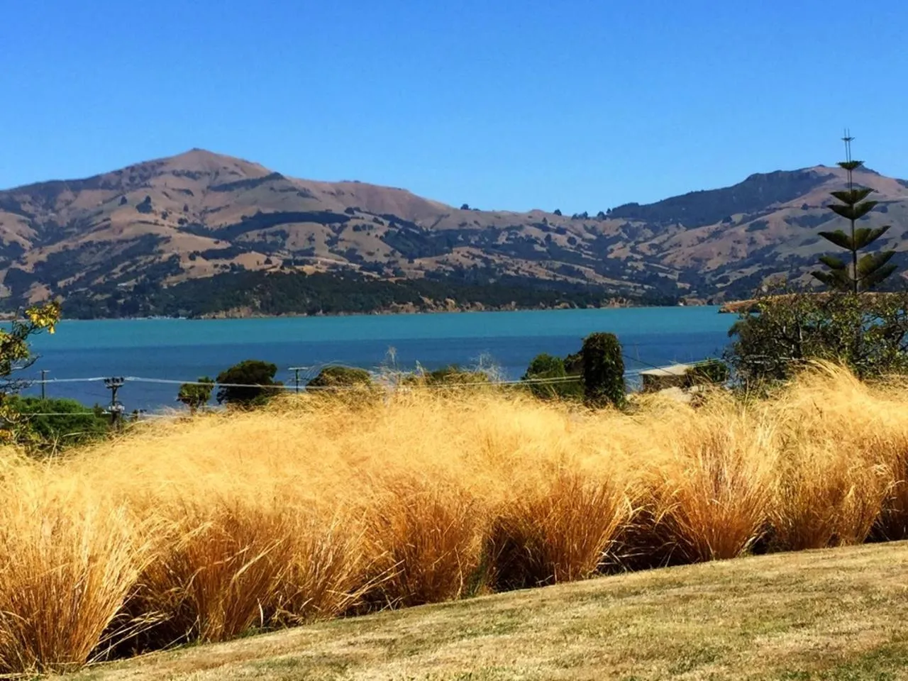 Natural landscape in L'abri Bed and Breakfast