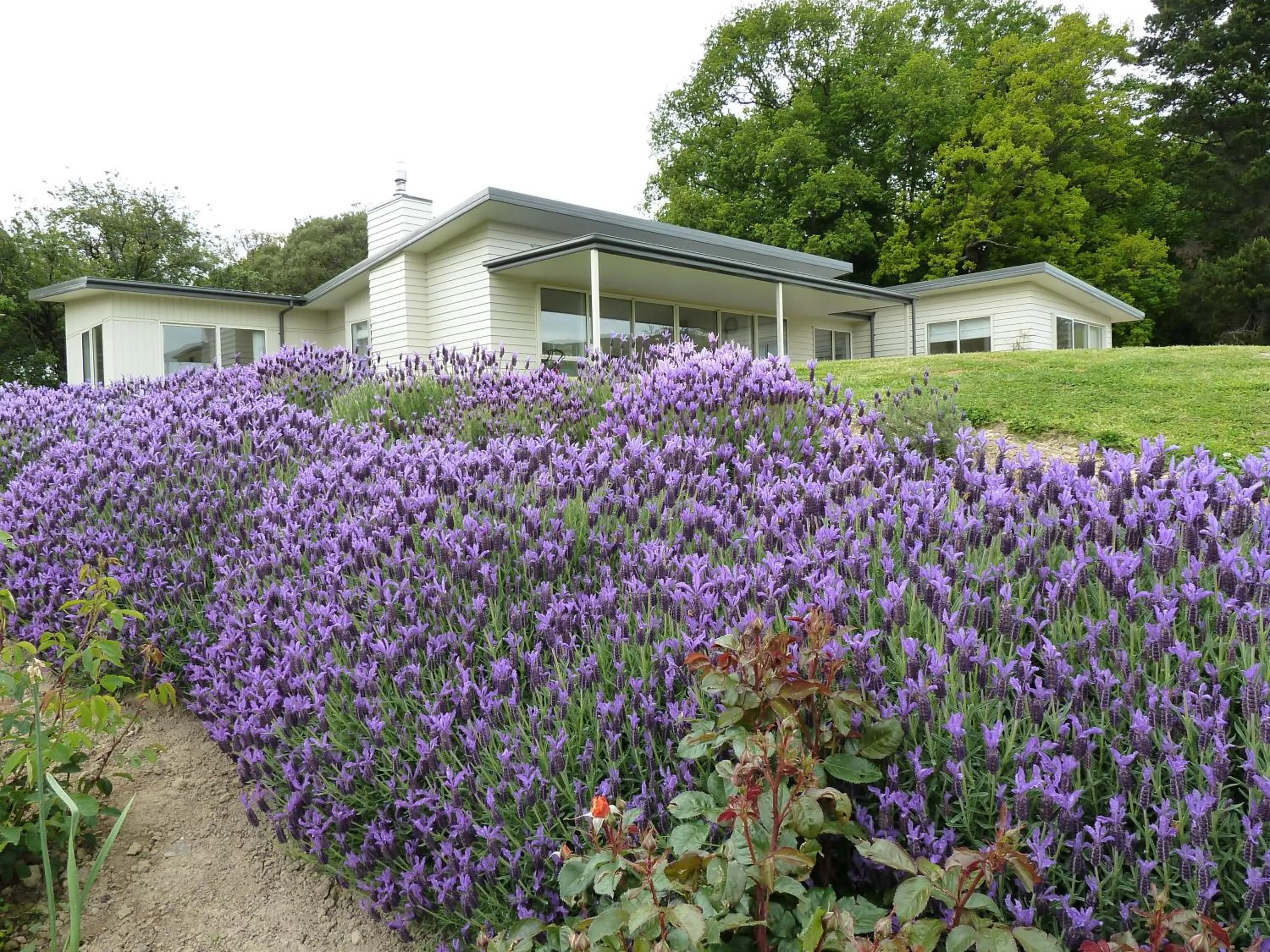 Neighbourhood in L'abri Bed and Breakfast
