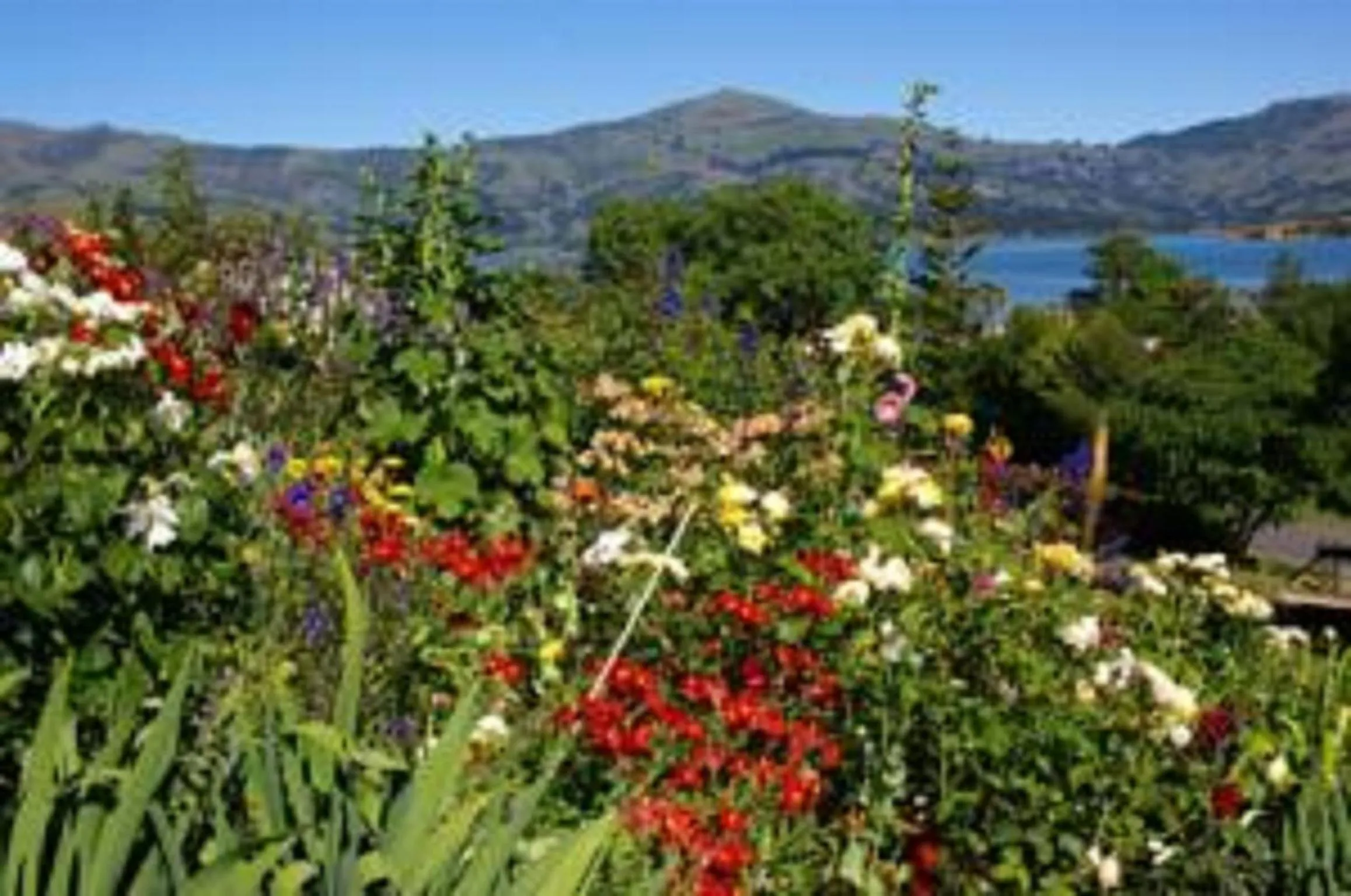 View (from property/room) in L'abri Bed and Breakfast