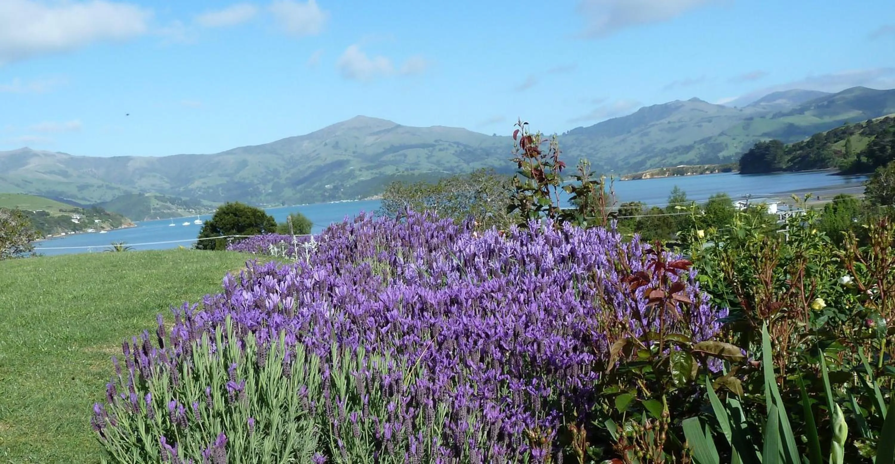 Mountain view in L'abri Bed and Breakfast