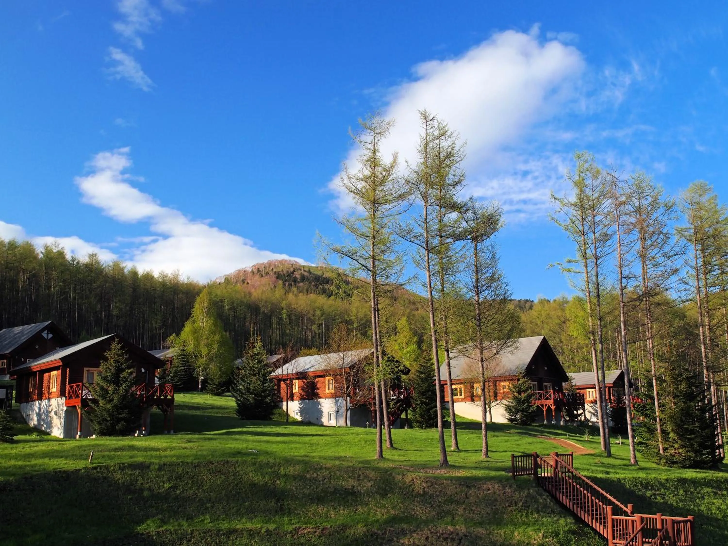 Garden in Log Hotel Larch Lake Kanayama
