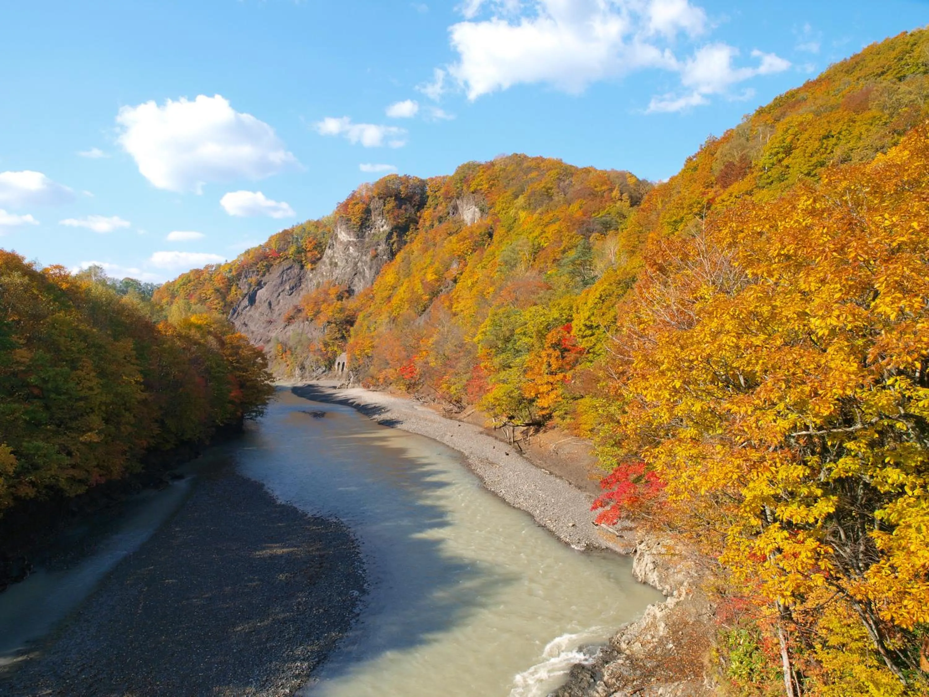 Area and facilities in Log Hotel Larch Lake Kanayama