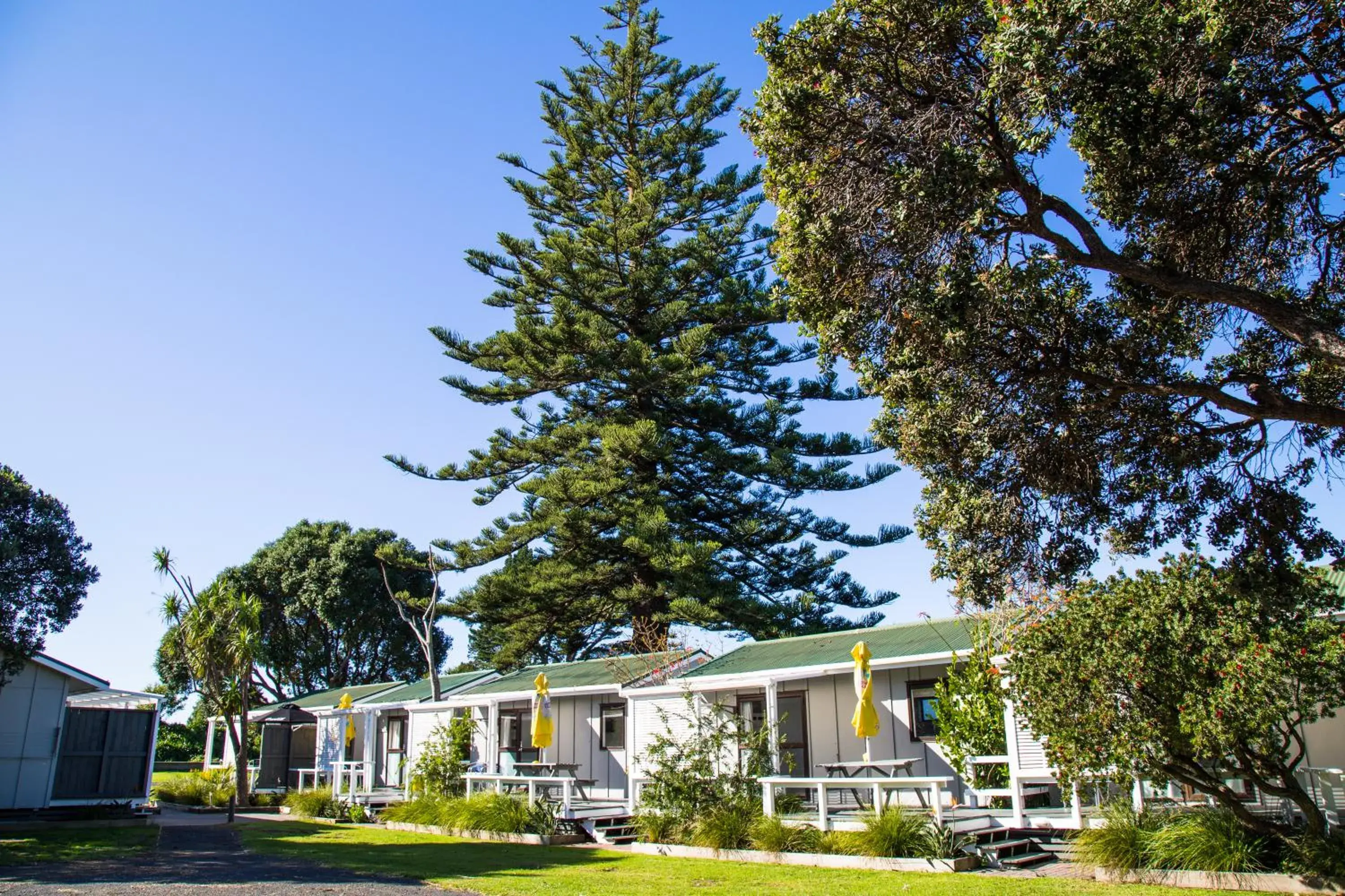 Comfort Cabin in Hahei Beach Resort Comfort Cabin in Hahei Beach Resort