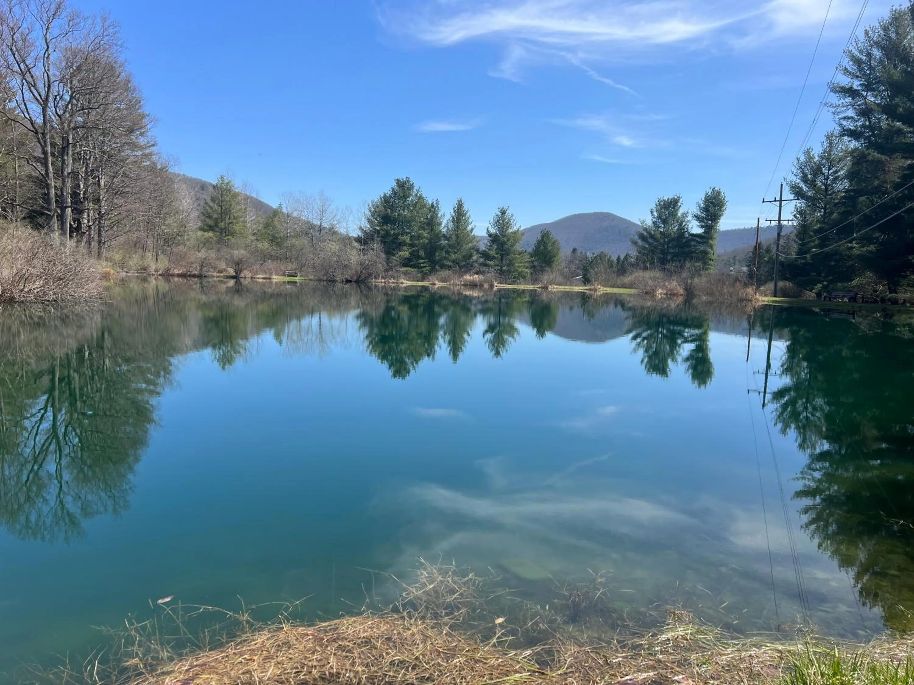 Natural landscape in Colton Point Motel