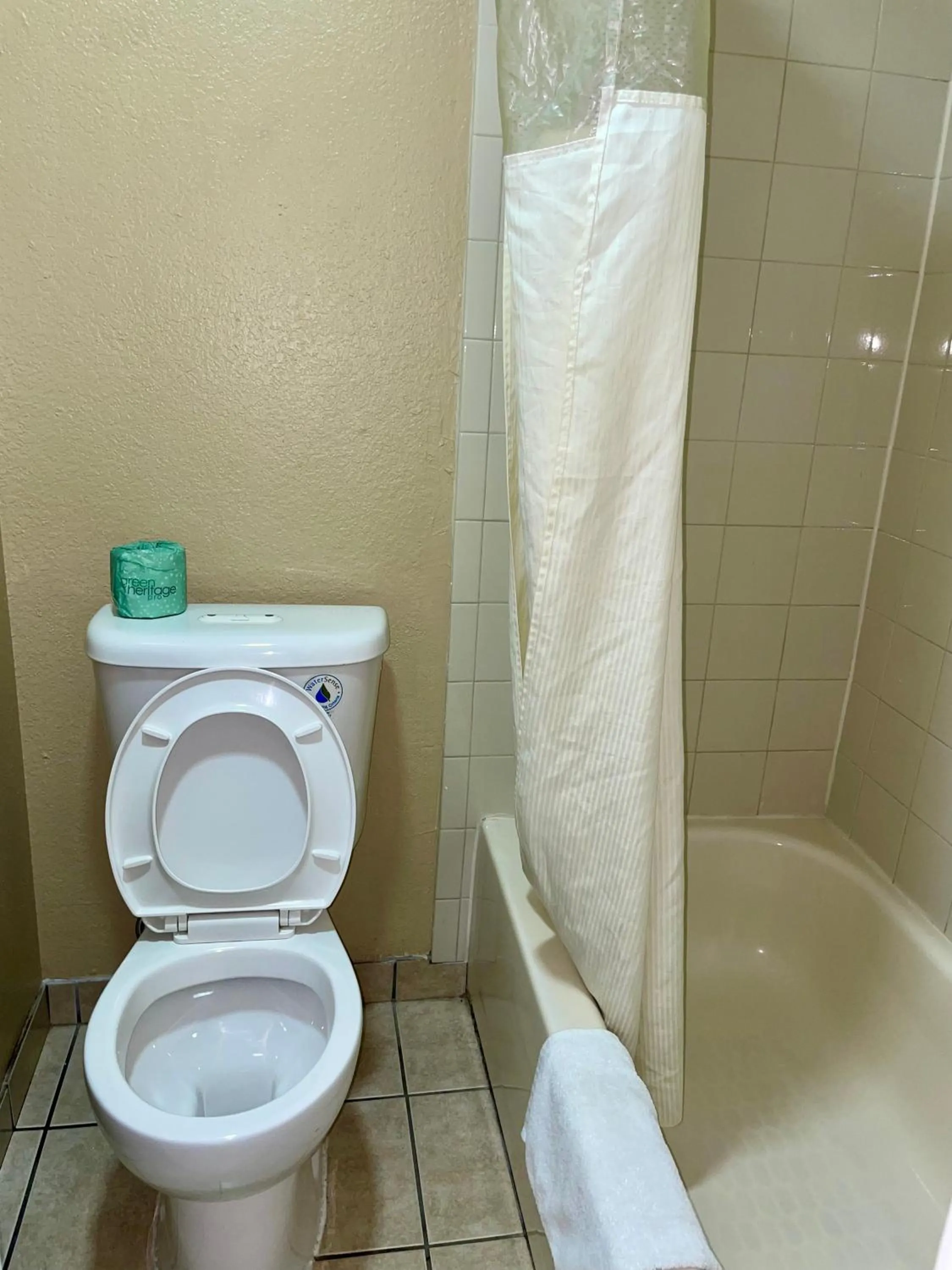 Toilet in Ankur Inn Motel