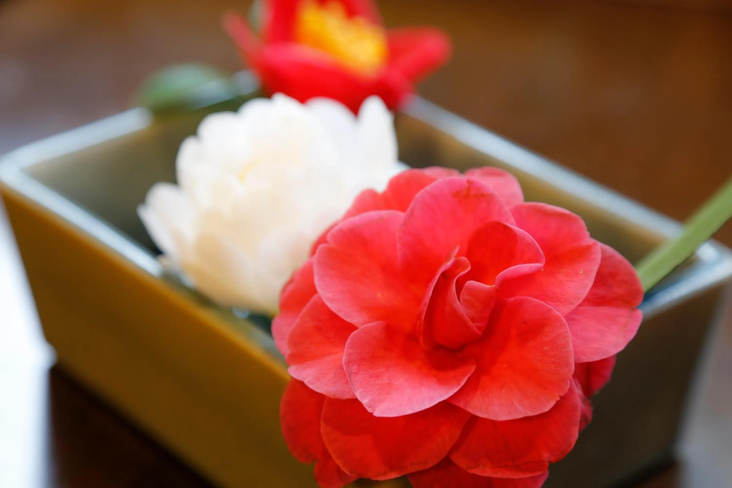 城崎温泉 旅館 つばき乃 - Kinosaki Onsen Ryokan Tsubakino