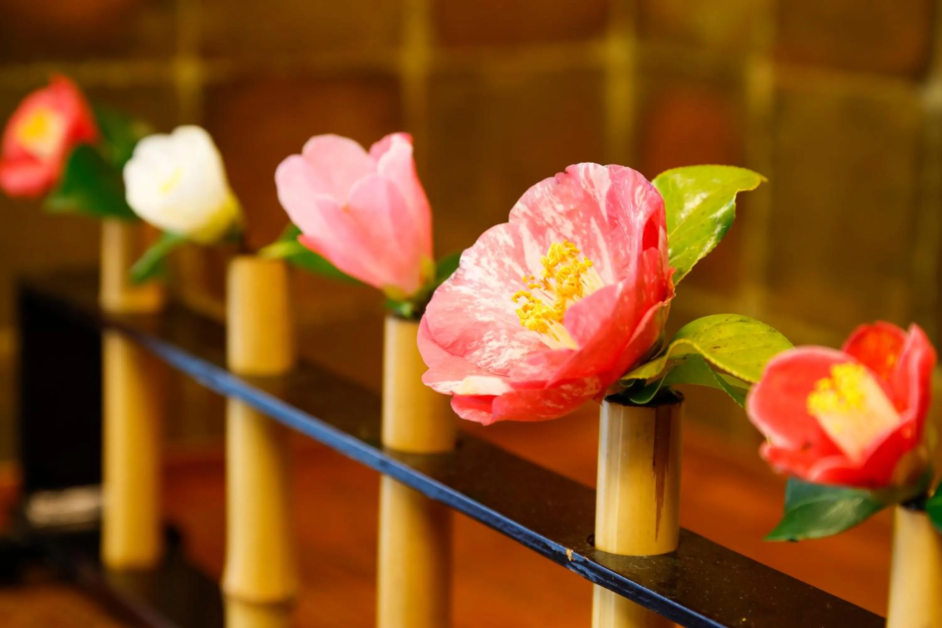 城崎温泉 旅館 つばき乃 - Kinosaki Onsen Ryokan Tsubakino