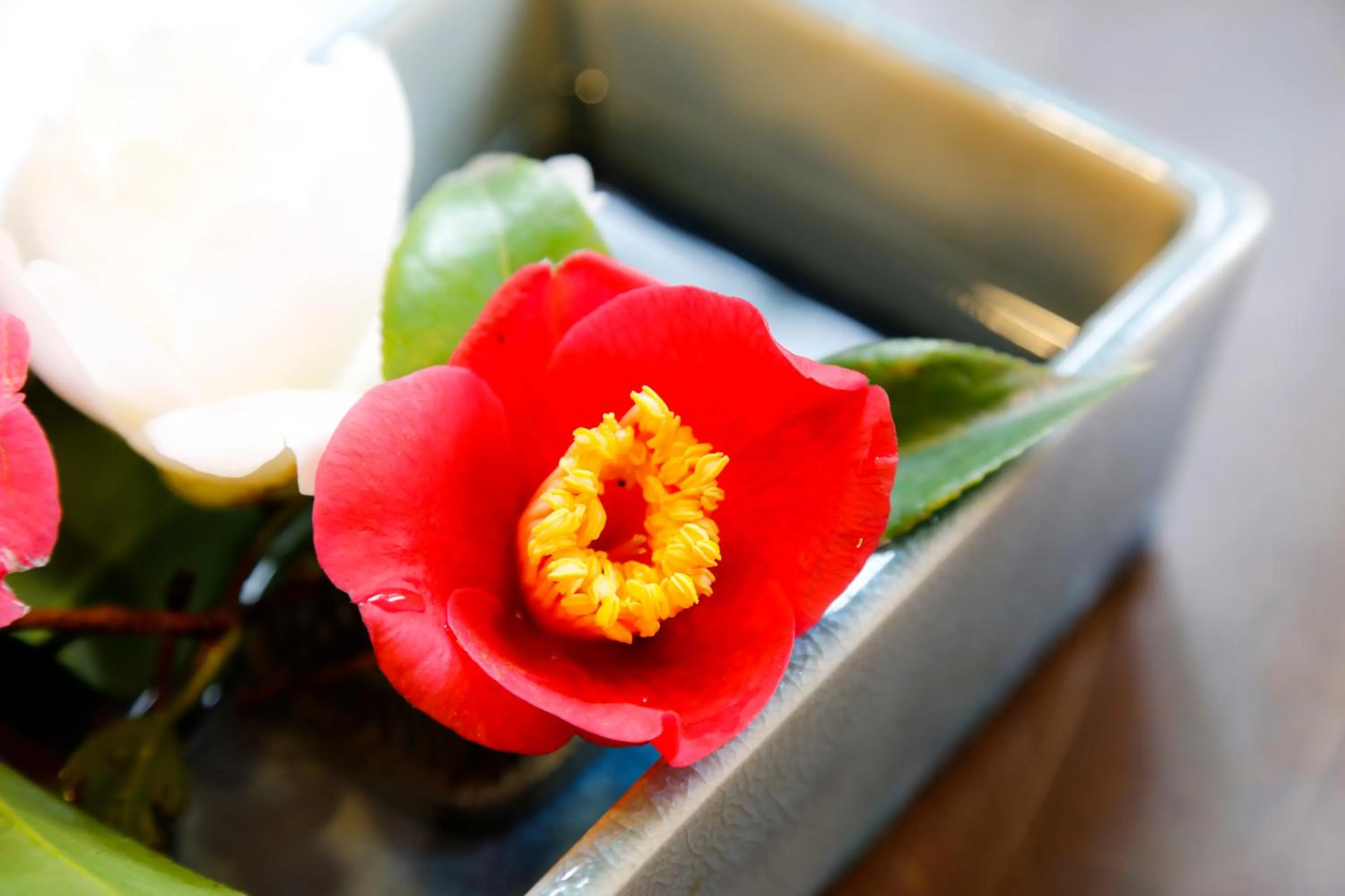 城崎温泉 旅館 つばき乃 - Kinosaki Onsen Ryokan Tsubakino