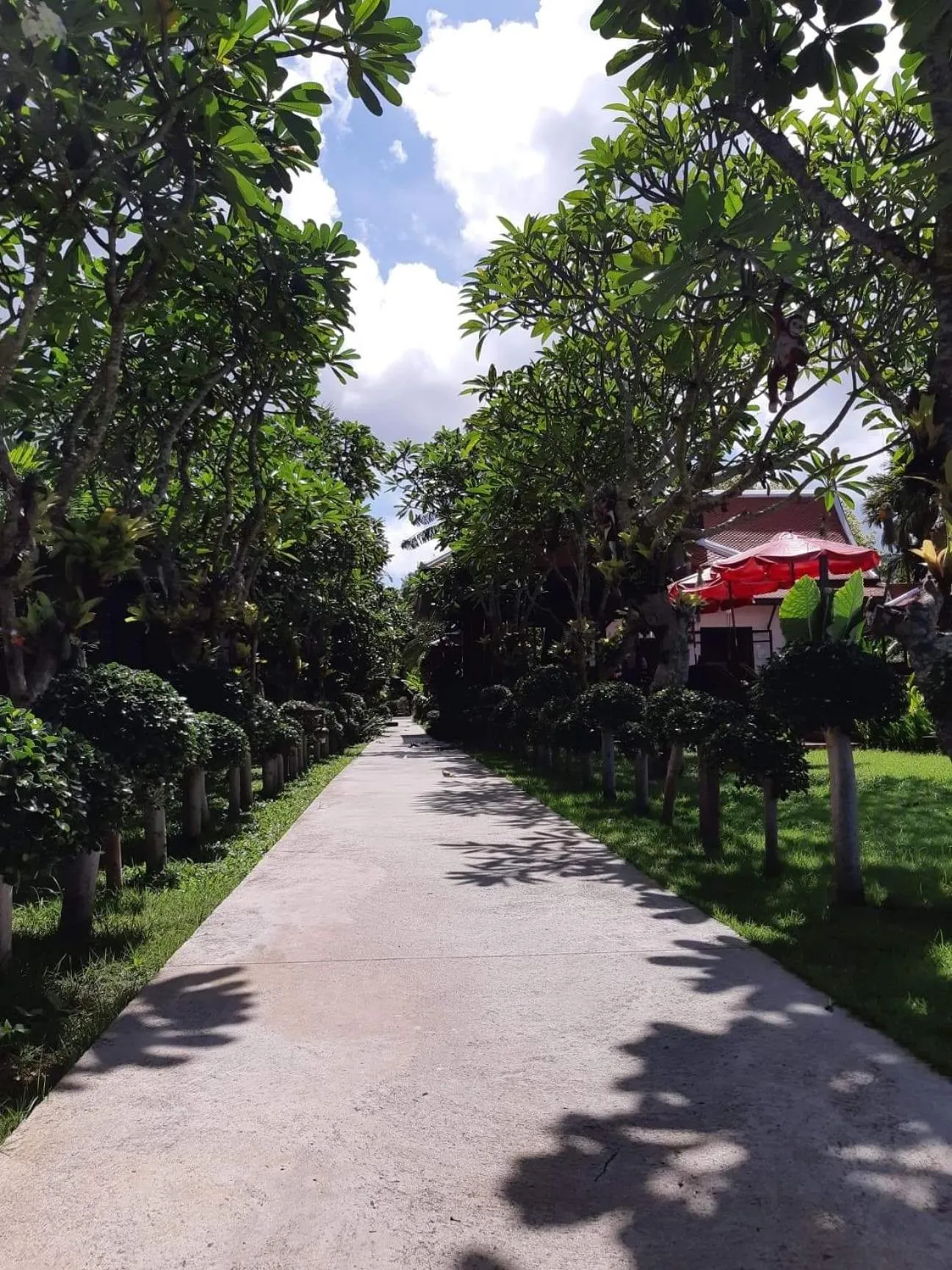 Natural landscape in Baan Thai Lanta Resort