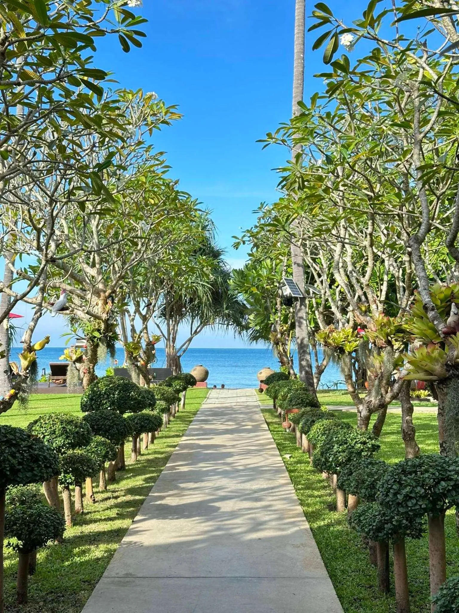 Natural landscape in Baan Thai Lanta Resort