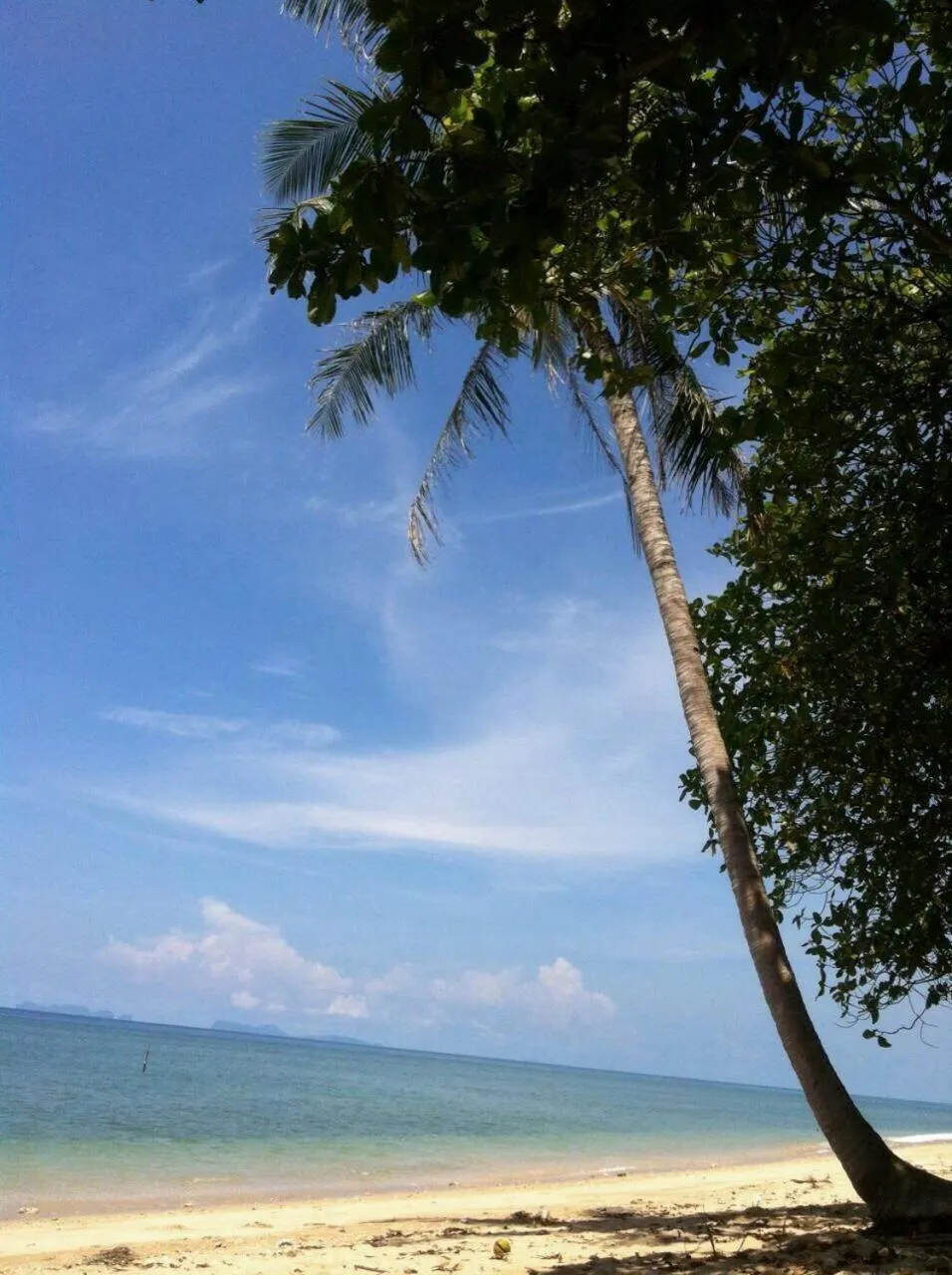 Natural landscape in Baan Thai Lanta Resort
