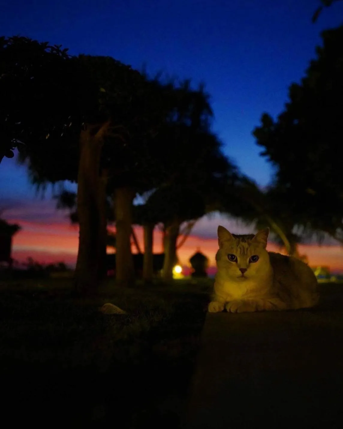 Night in Baan Thai Lanta Resort