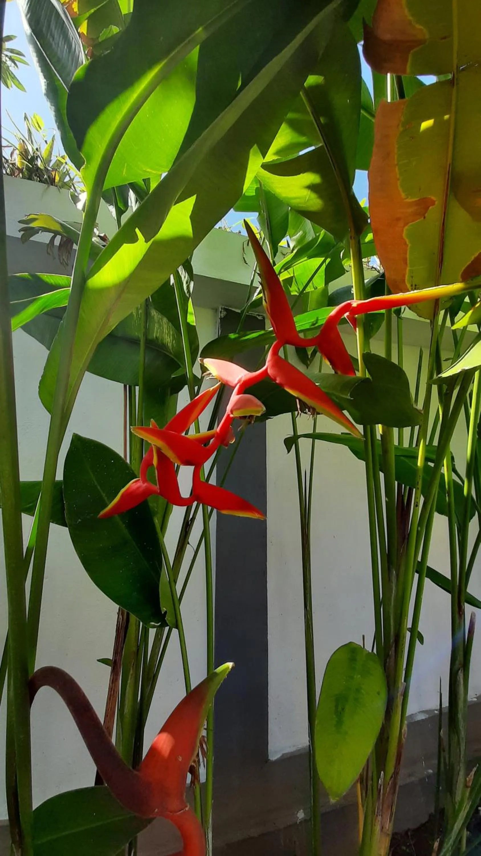 Day in Bali Diversity Dive Resort