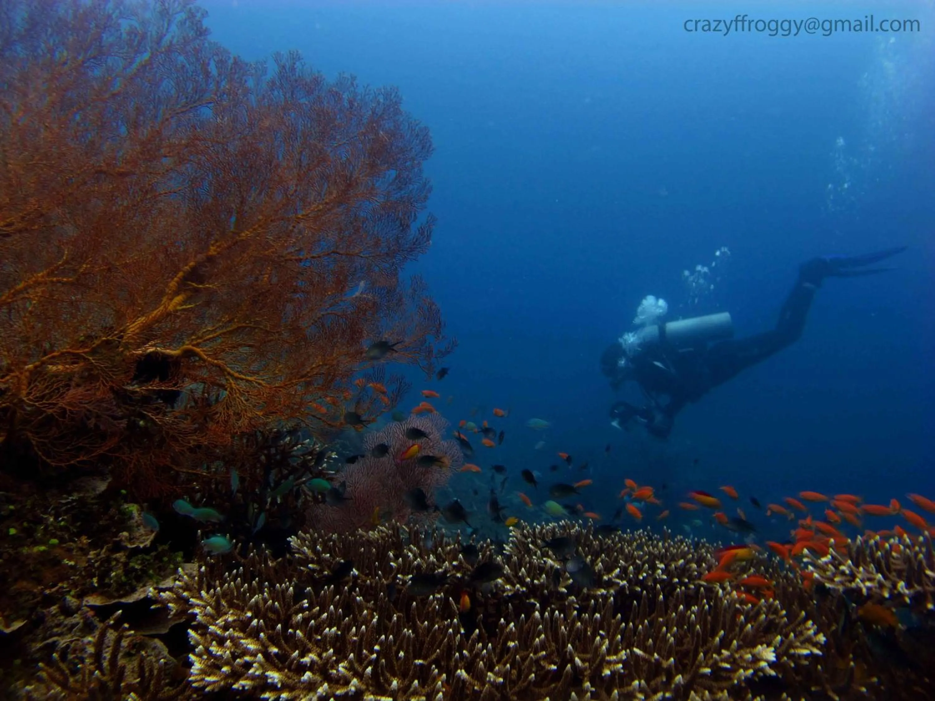 People in Bali Diversity Dive Resort