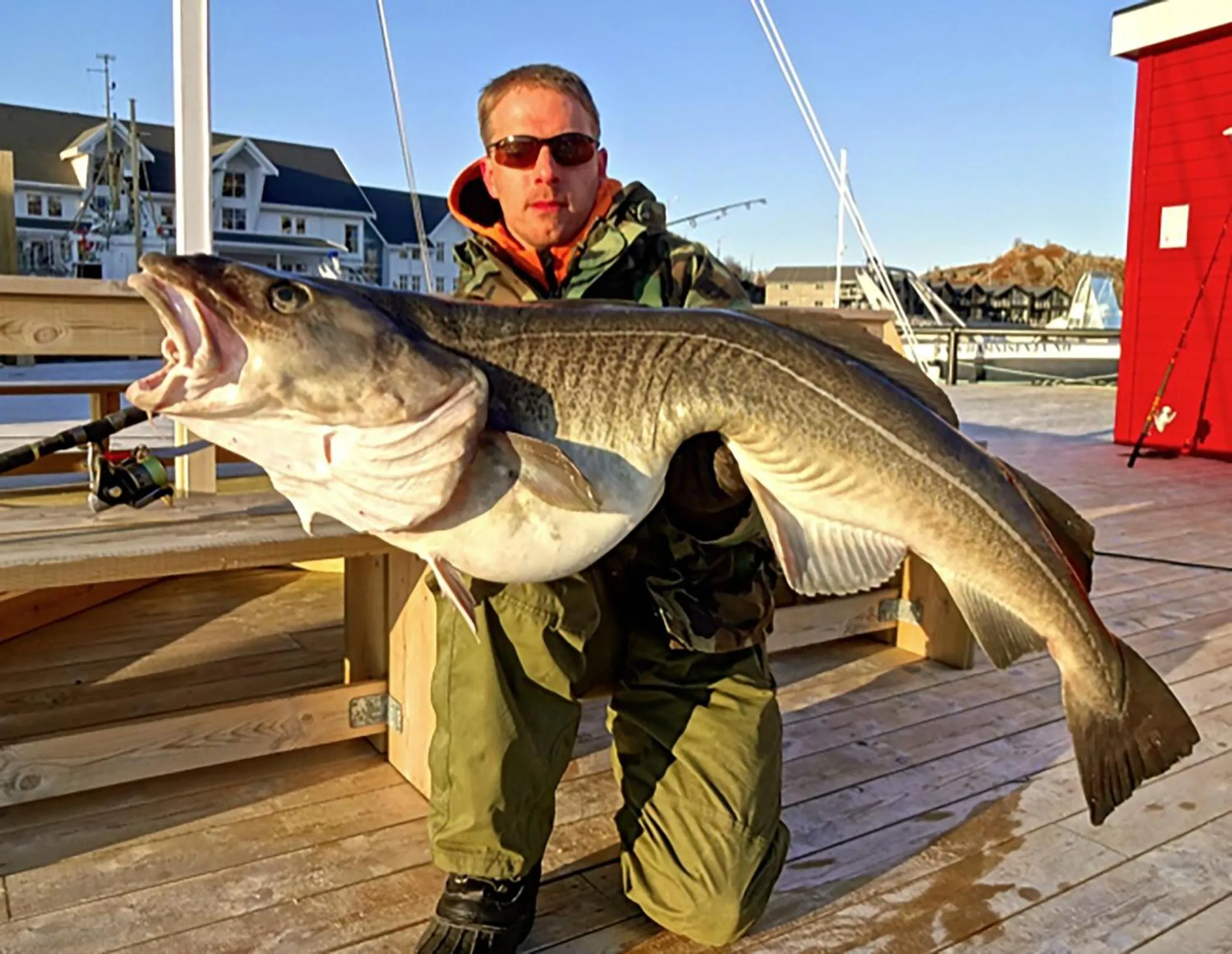 Activities in Hamn i Senja
