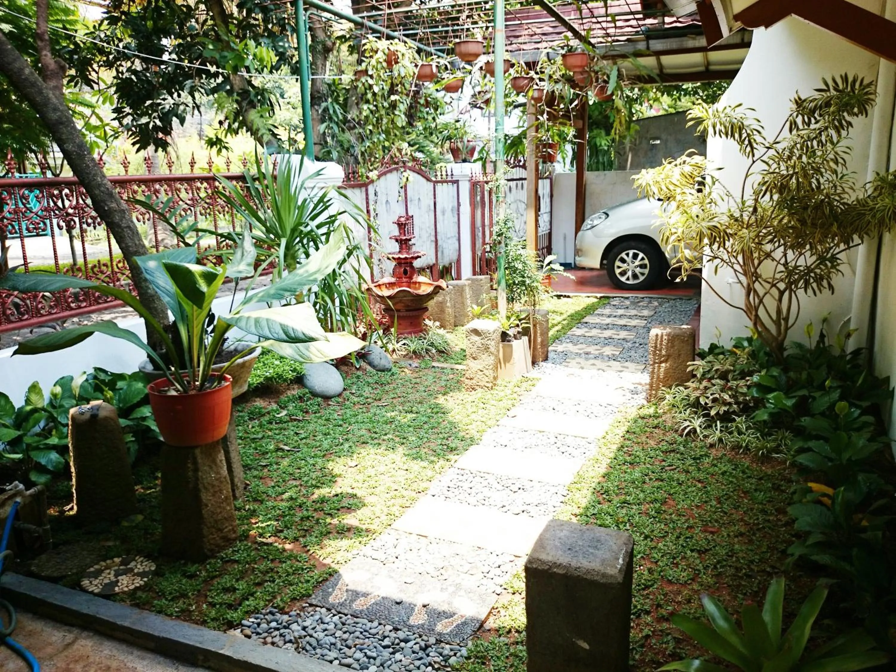 Garden in Hostel Bogor