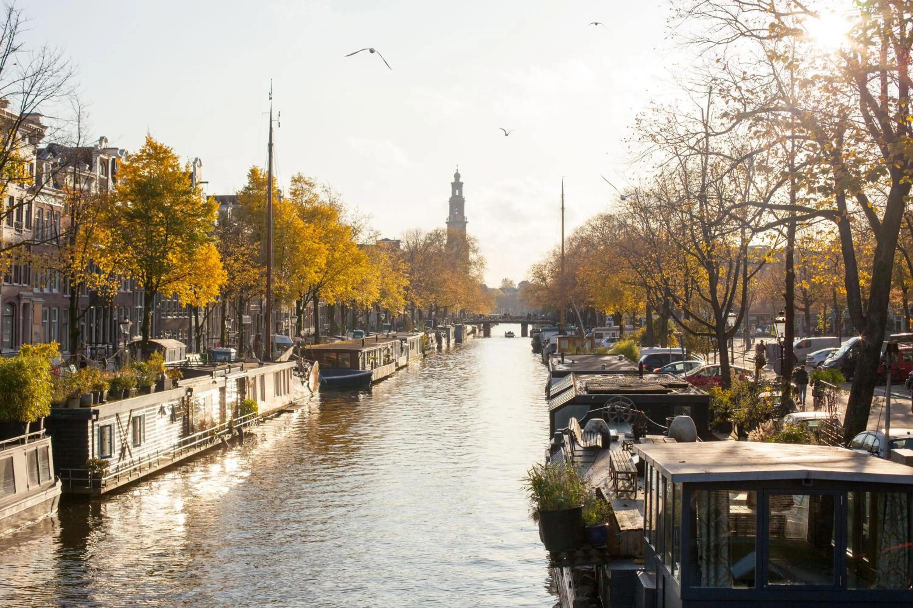 Neighbourhood in Kuwadro Guesthouse Jordaan