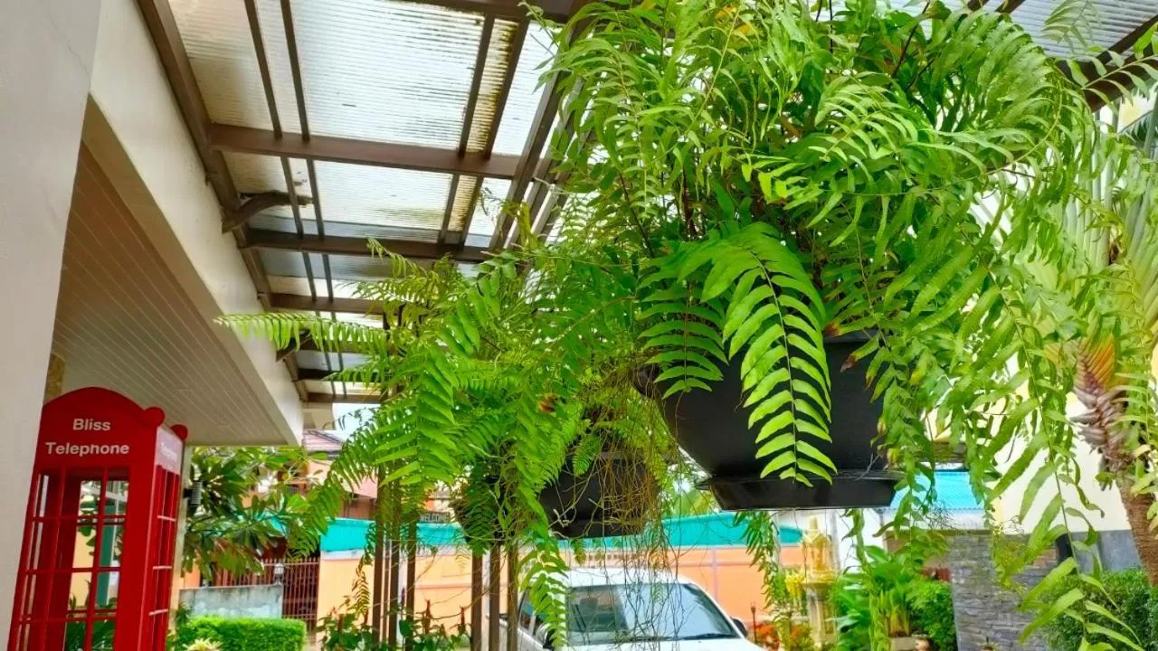 The Bliss Loei Living