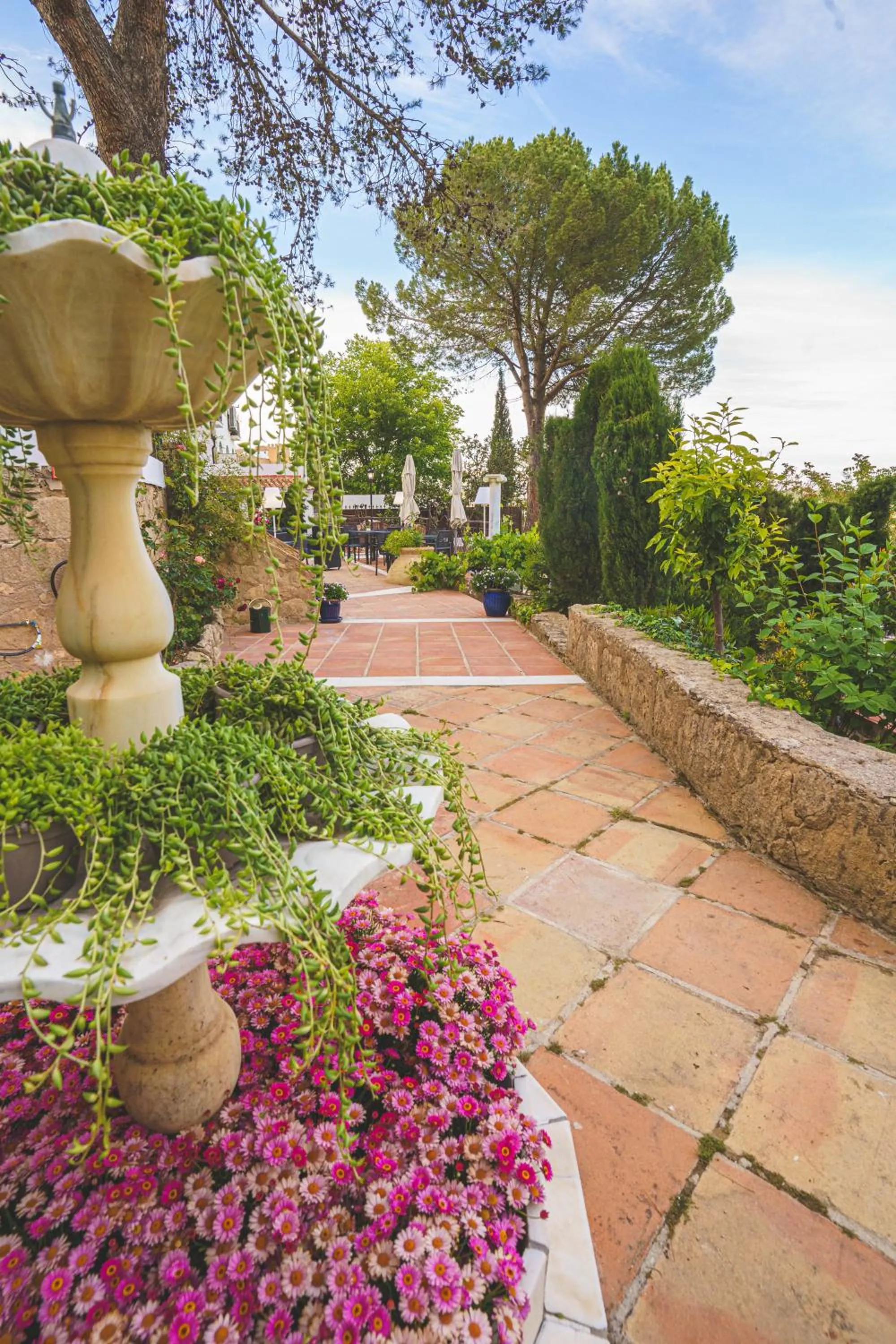 Natural landscape in Hotel Boutique Palacio De La Duquesa
