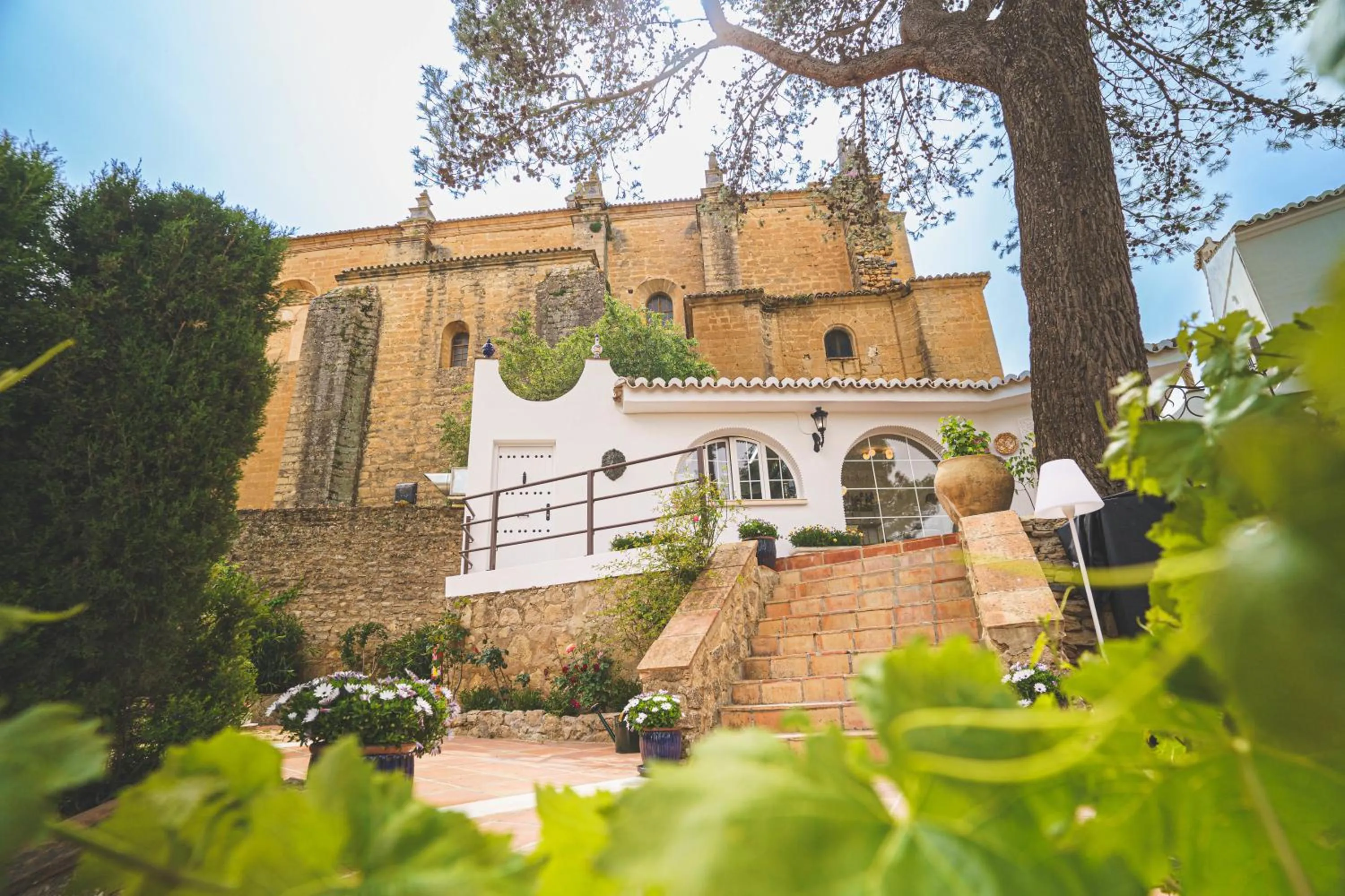 Garden in Hotel Boutique Palacio De La Duquesa