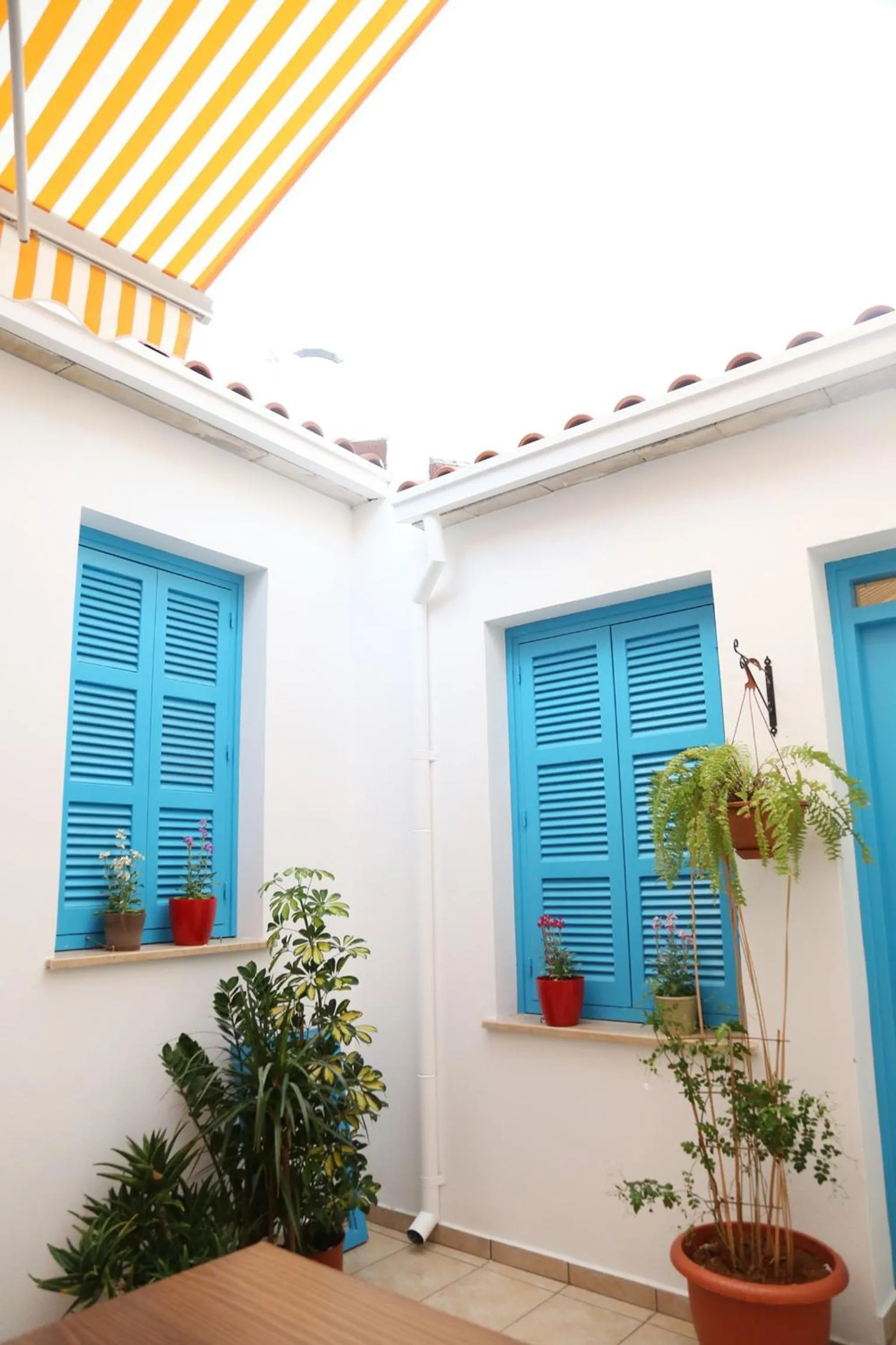 Day in Cypriot Swallow Boutique Hotel