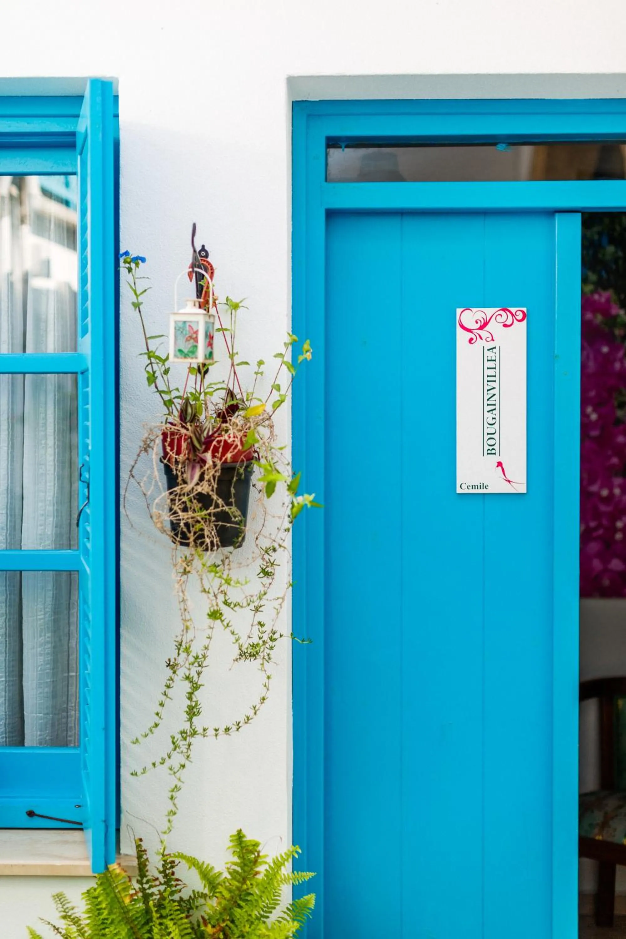 Facade/entrance in Cypriot Swallow Boutique Hotel
