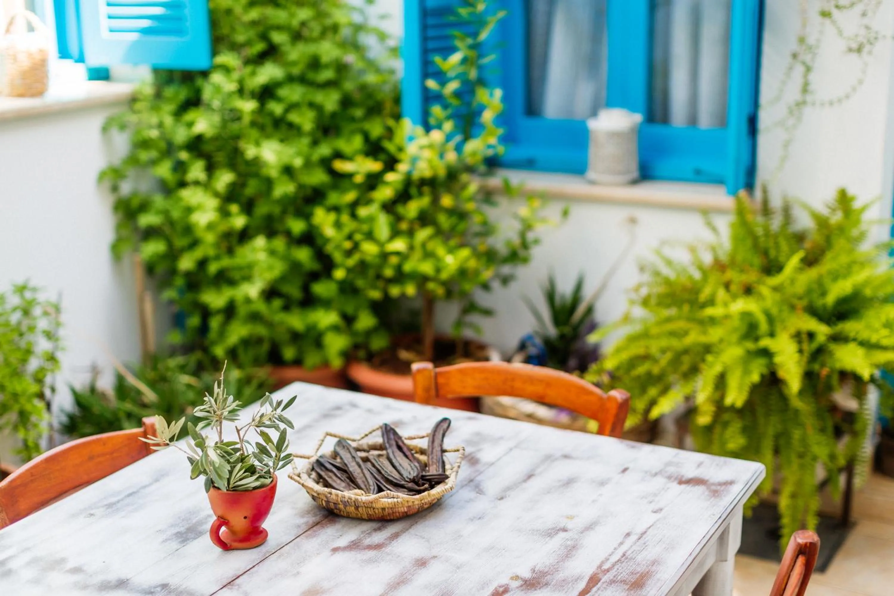 Inner courtyard view in Cypriot Swallow Boutique Hotel