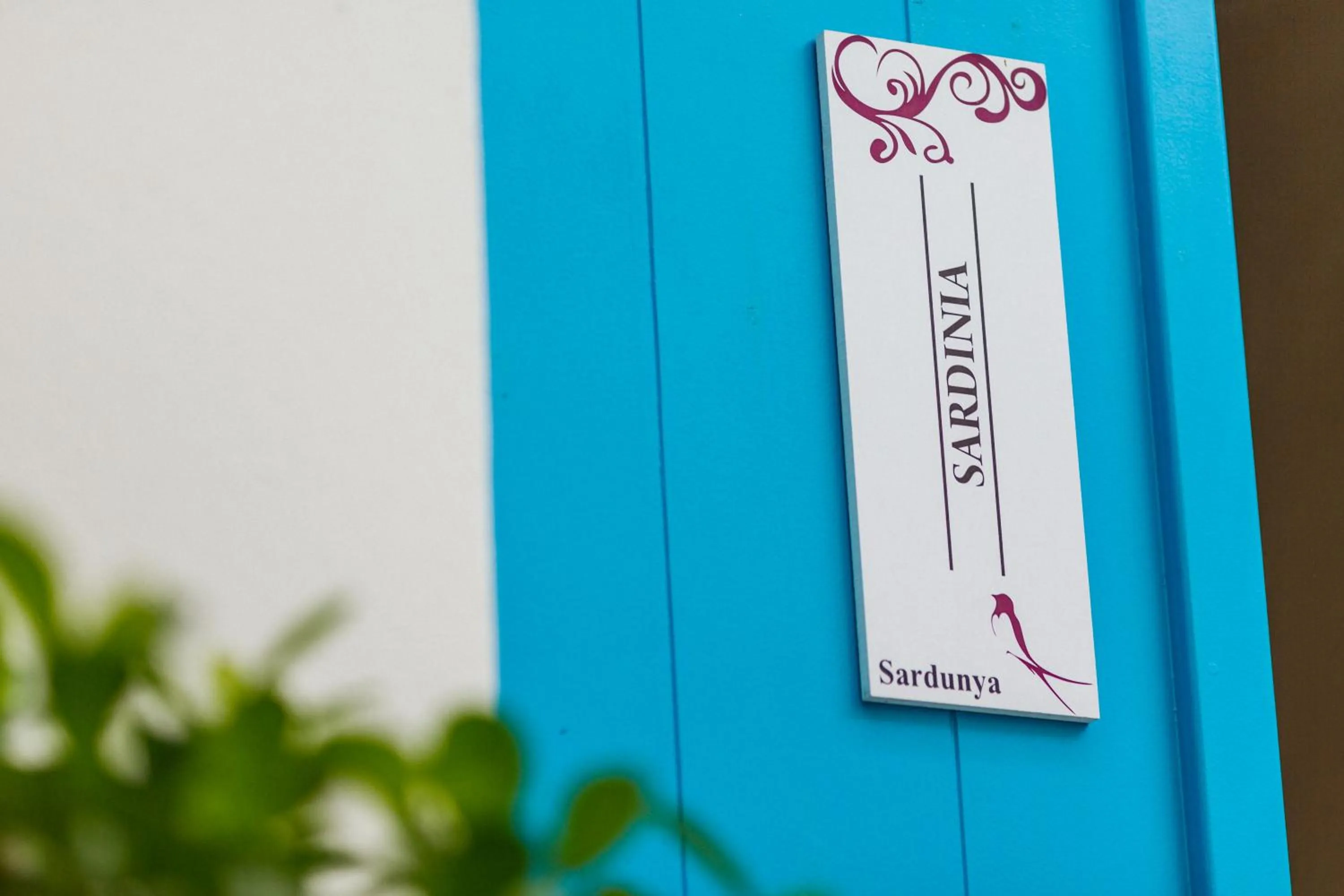 Logo/Certificate/Sign in Cypriot Swallow Boutique Hotel