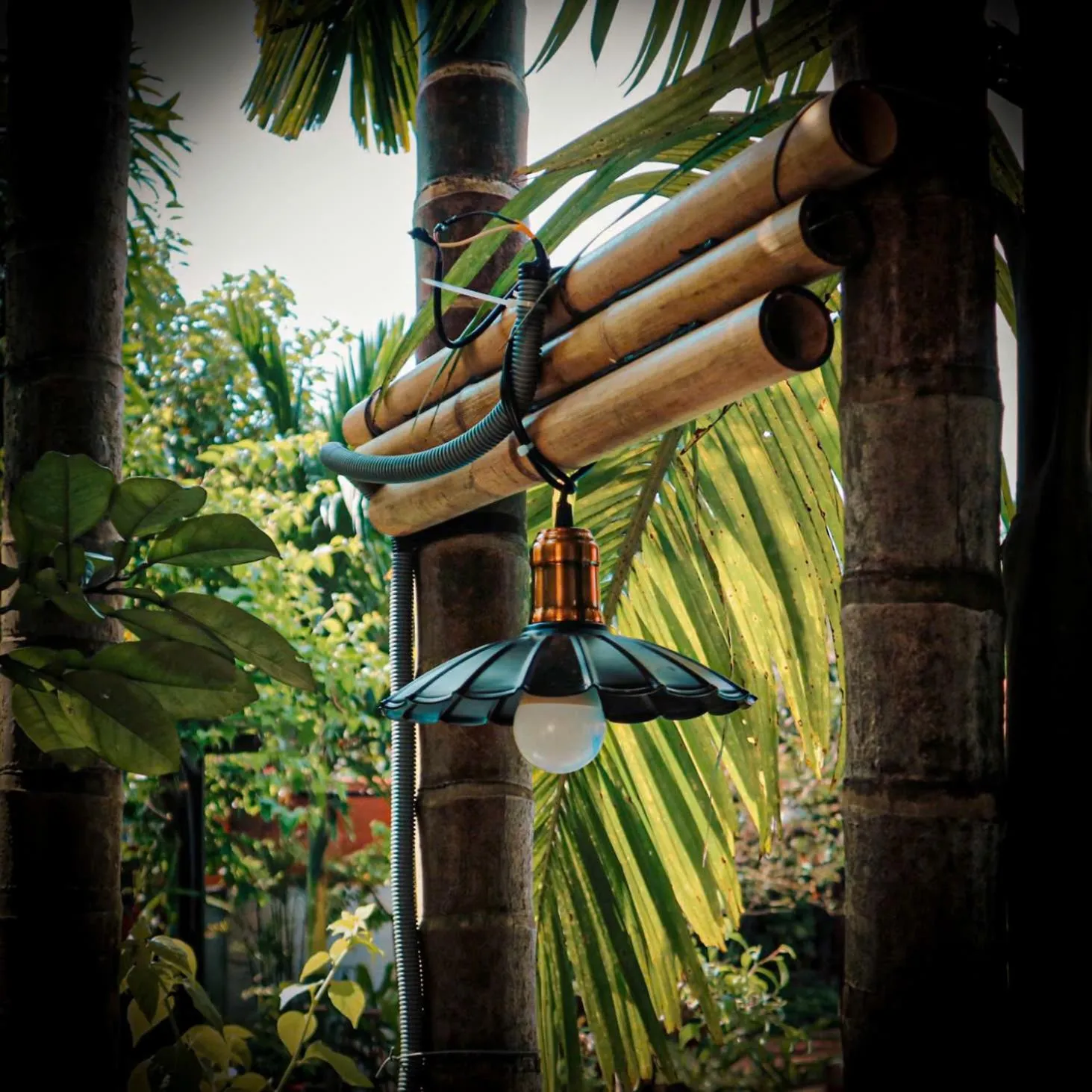 Natural landscape in An Phu Homestay