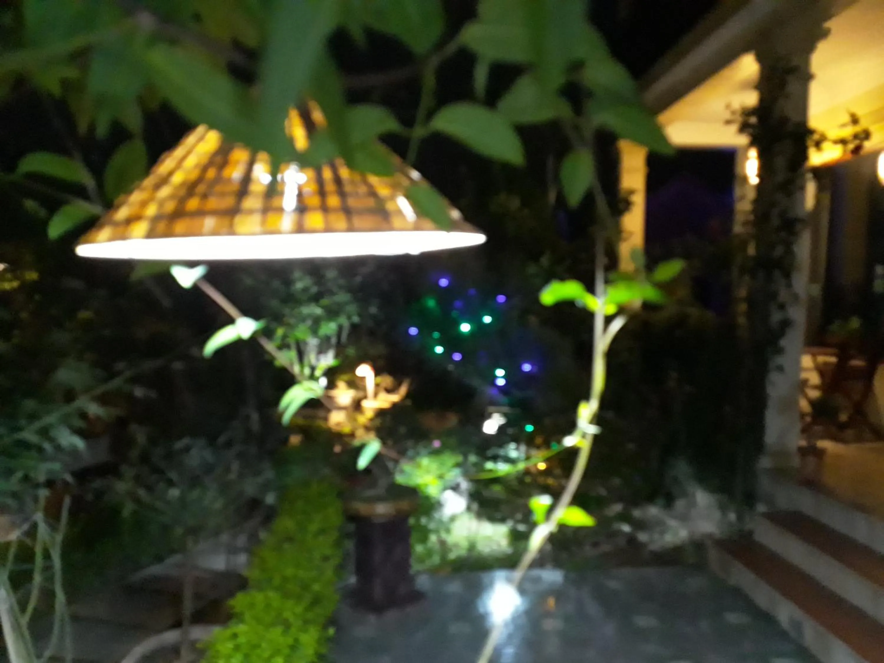 Night in An Phu Homestay