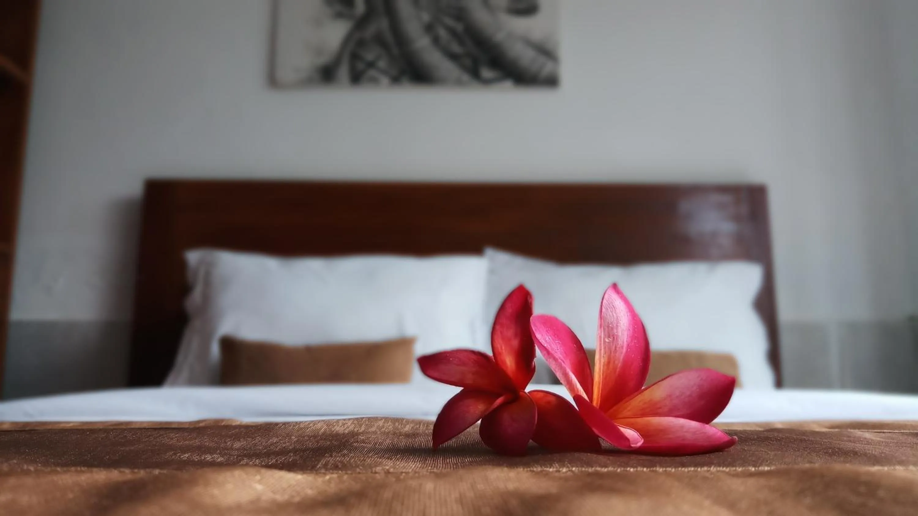 Bed in Villa Dencarik