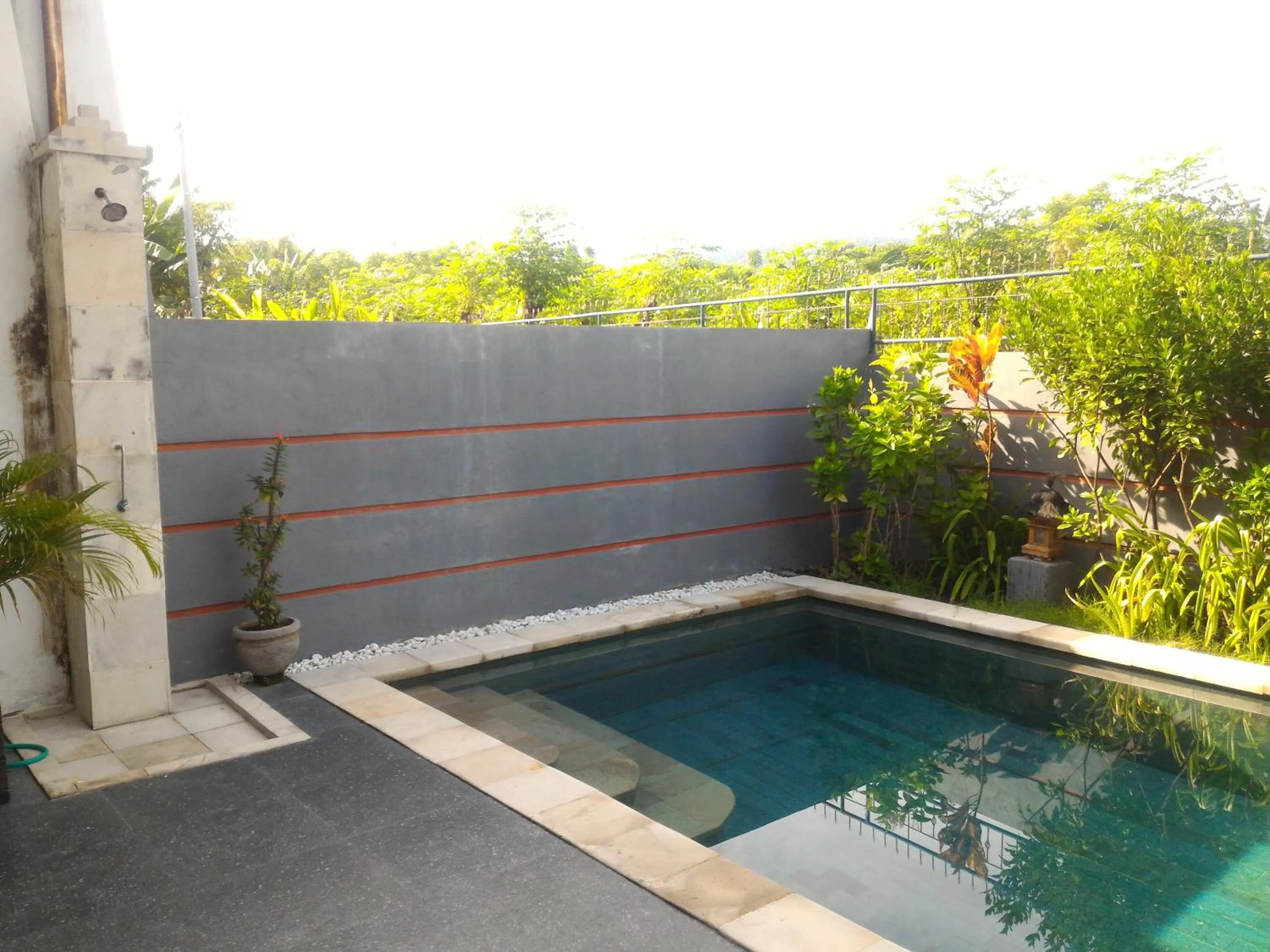 Garden in Villa Dencarik