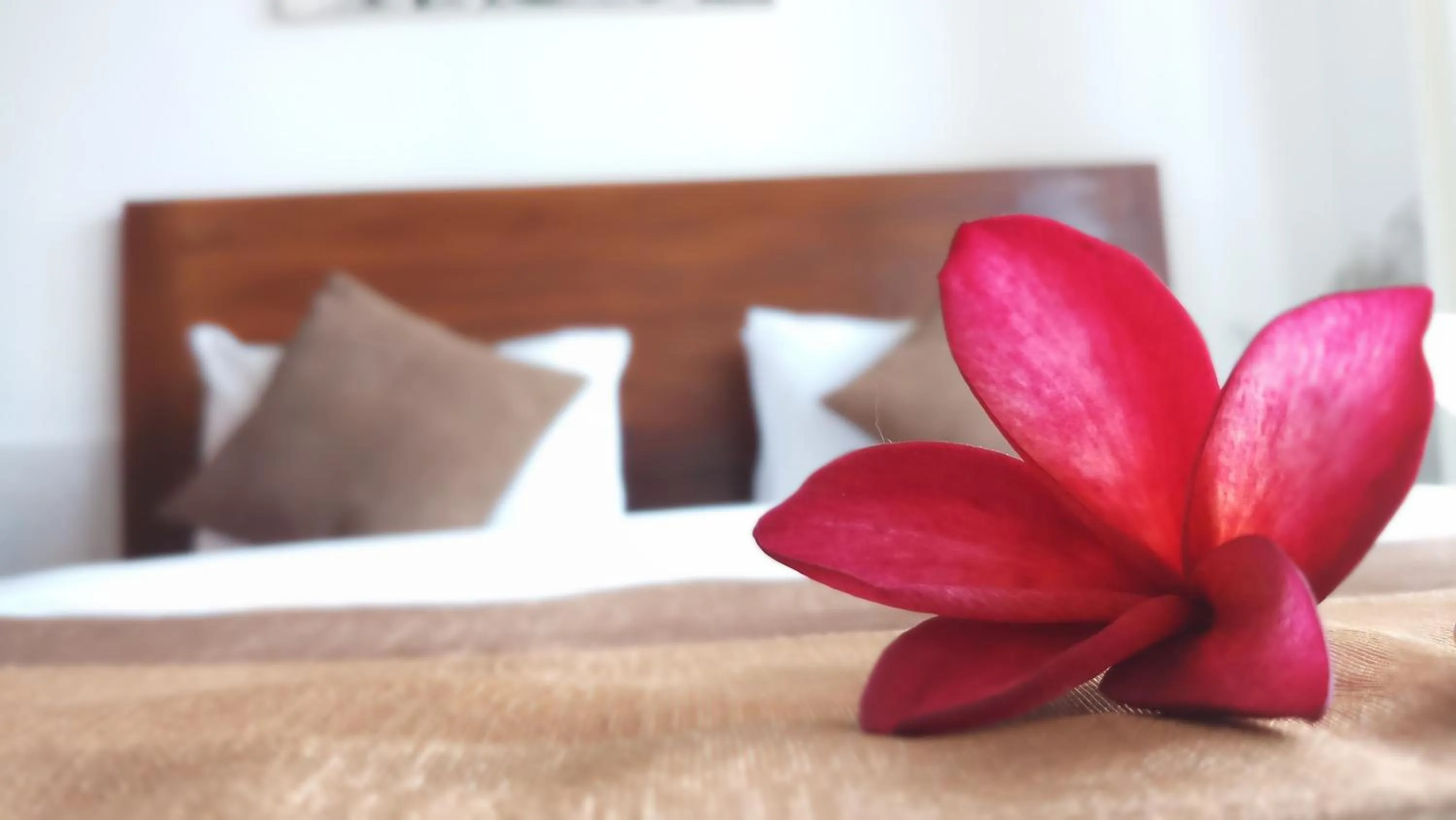 Bed in Villa Dencarik