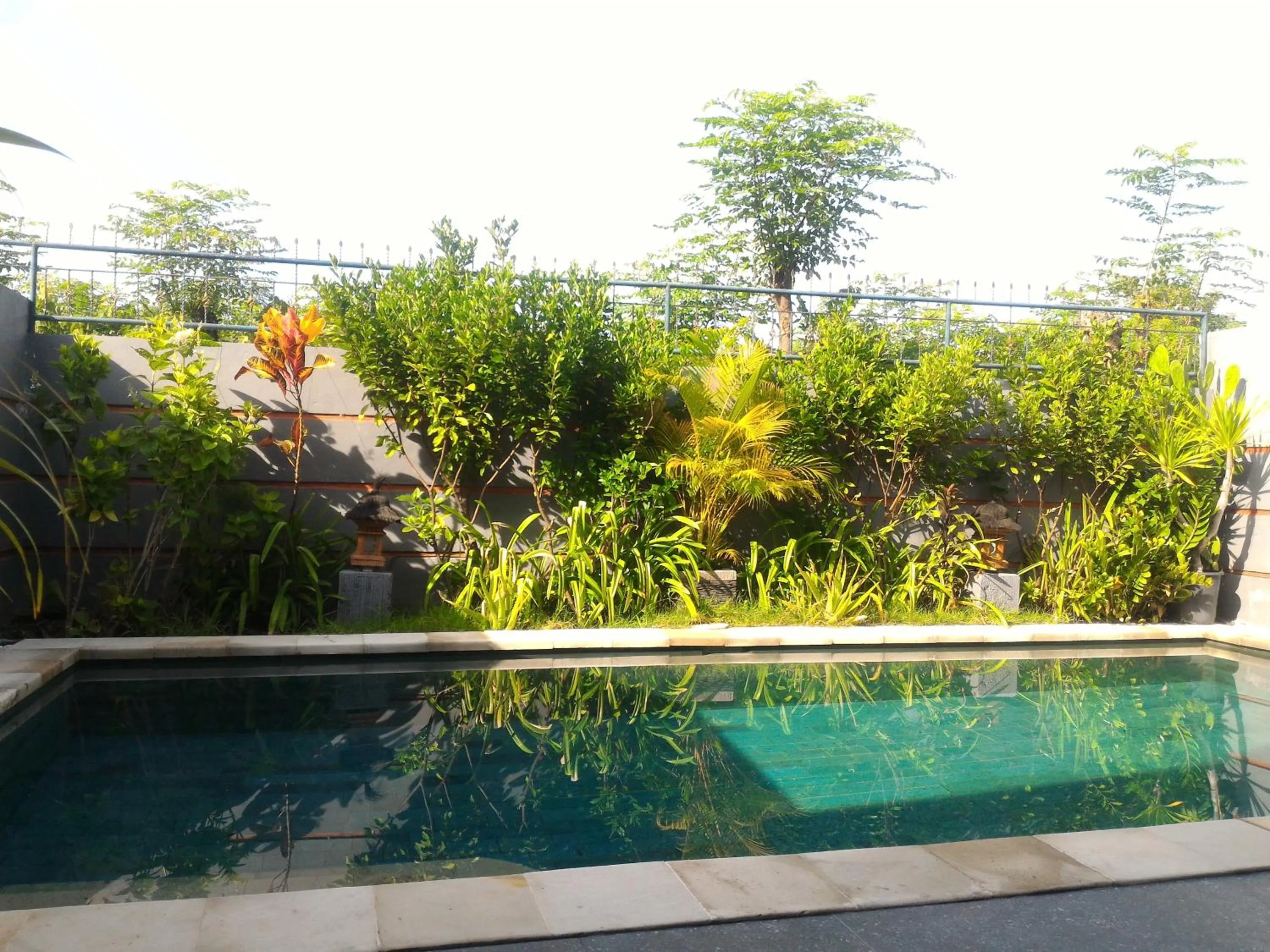 Garden in Villa Dencarik