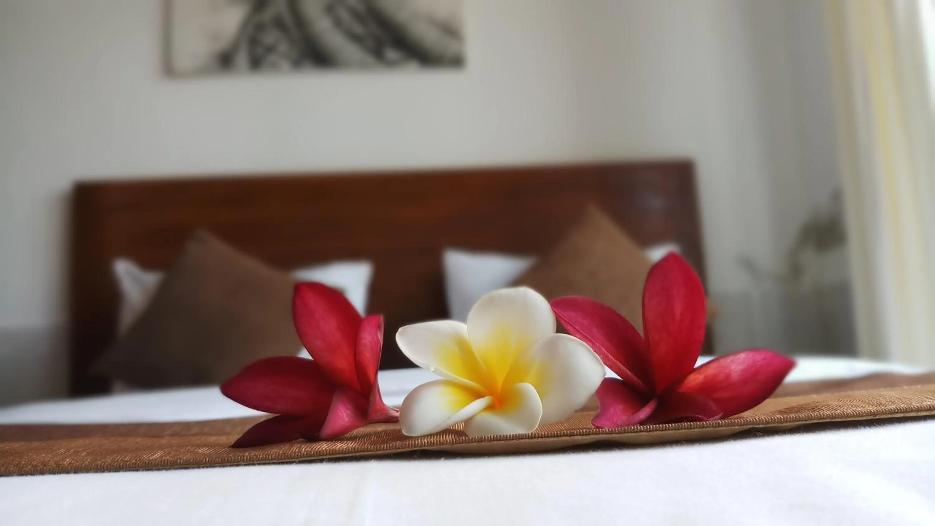 Bed in Villa Dencarik