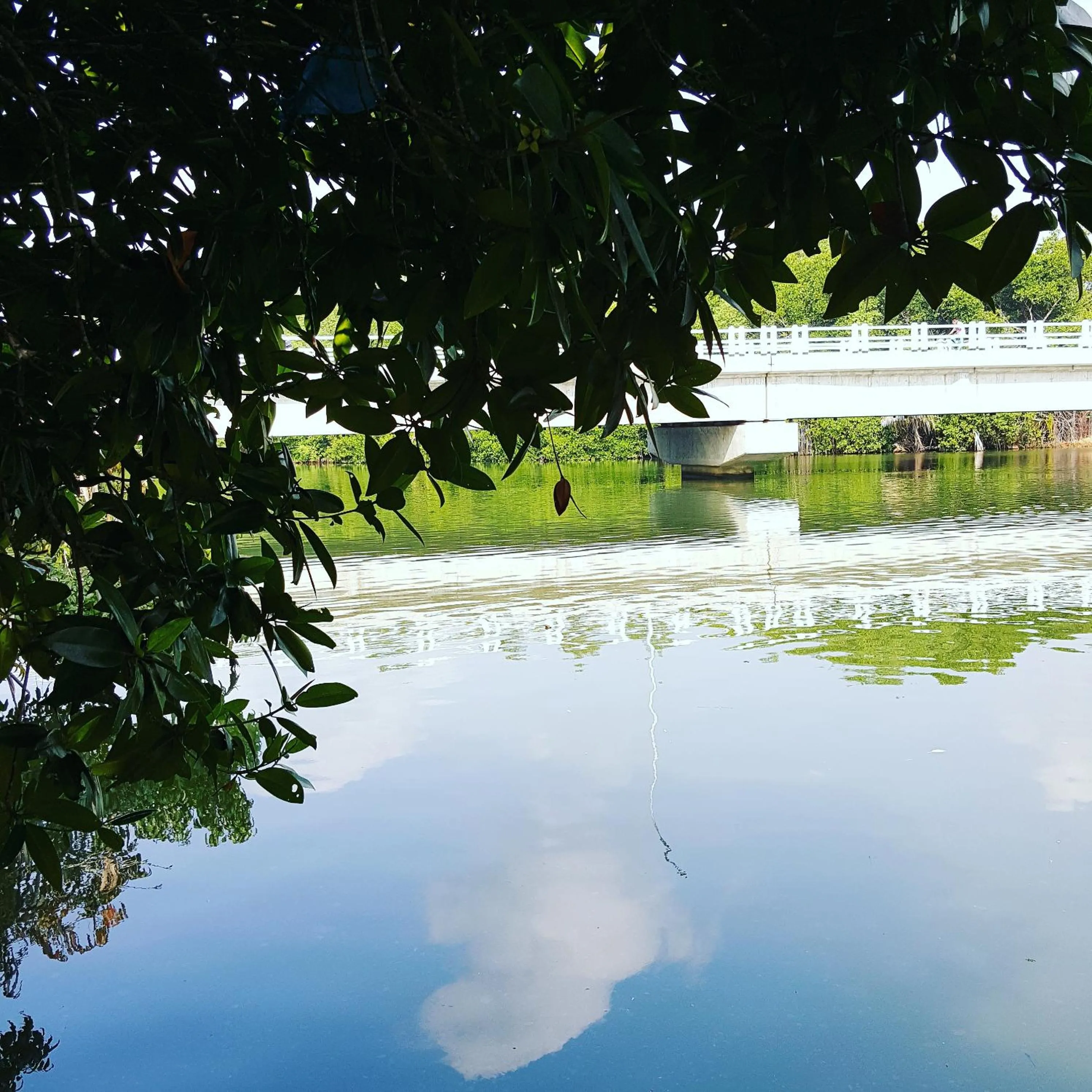 Luvi Lucas River Side