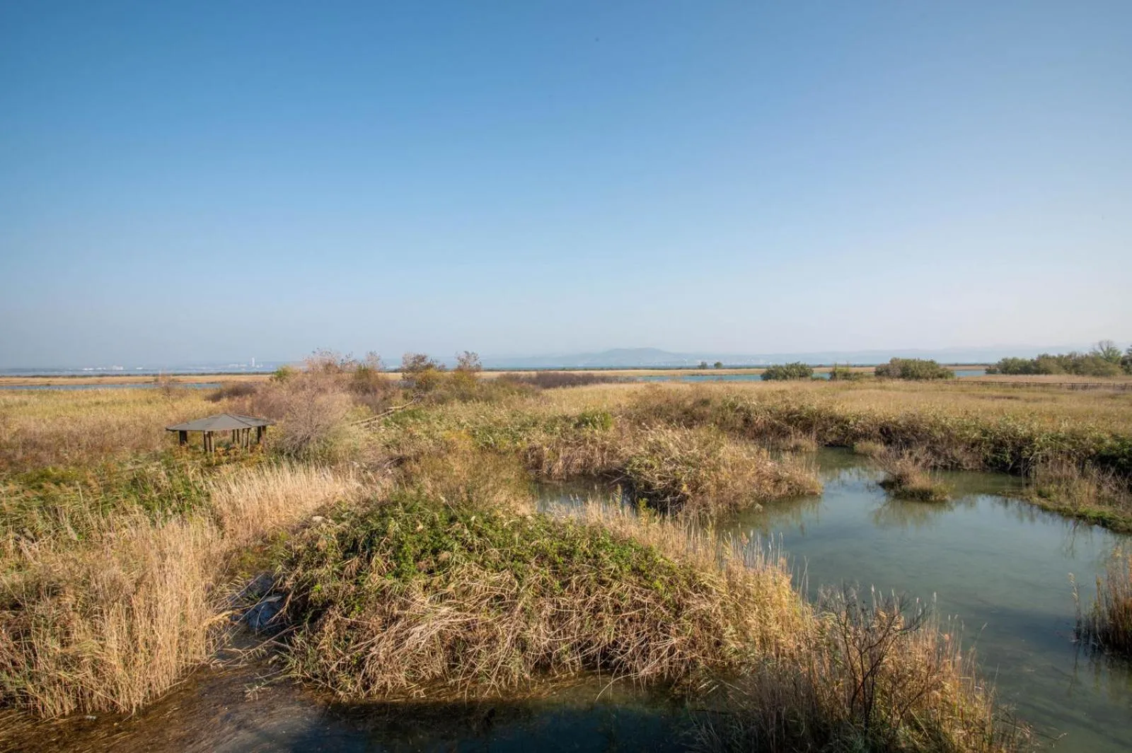View (from property/room) in Hotel Caneo