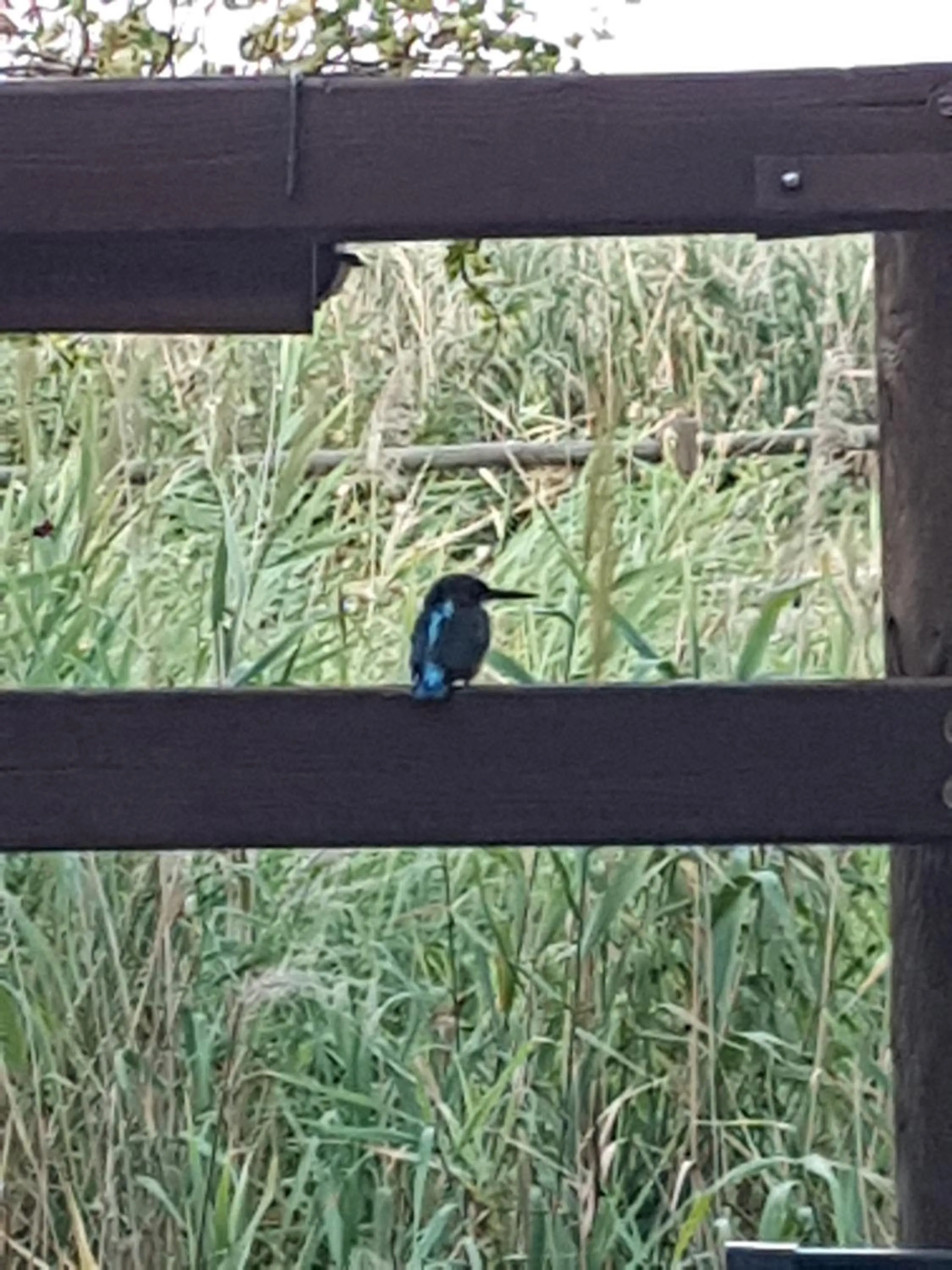 Other in Hotel Caneo