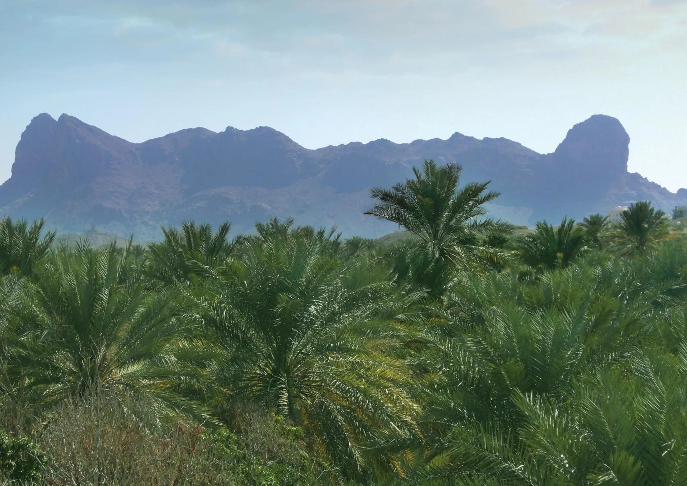 Natural landscape in The View