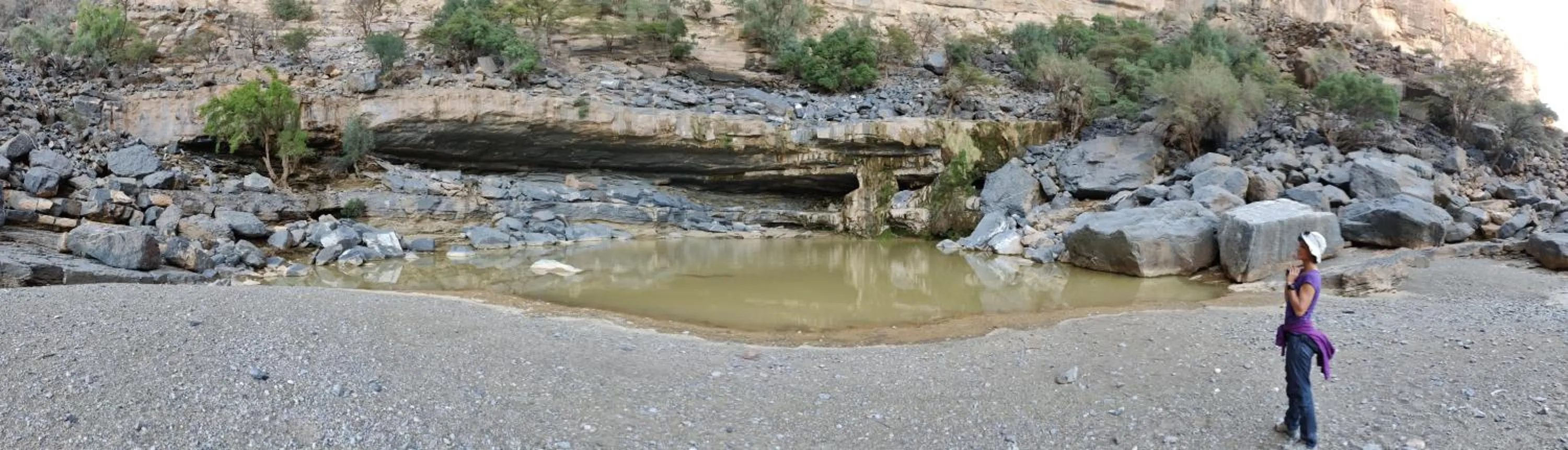 Natural landscape in The View