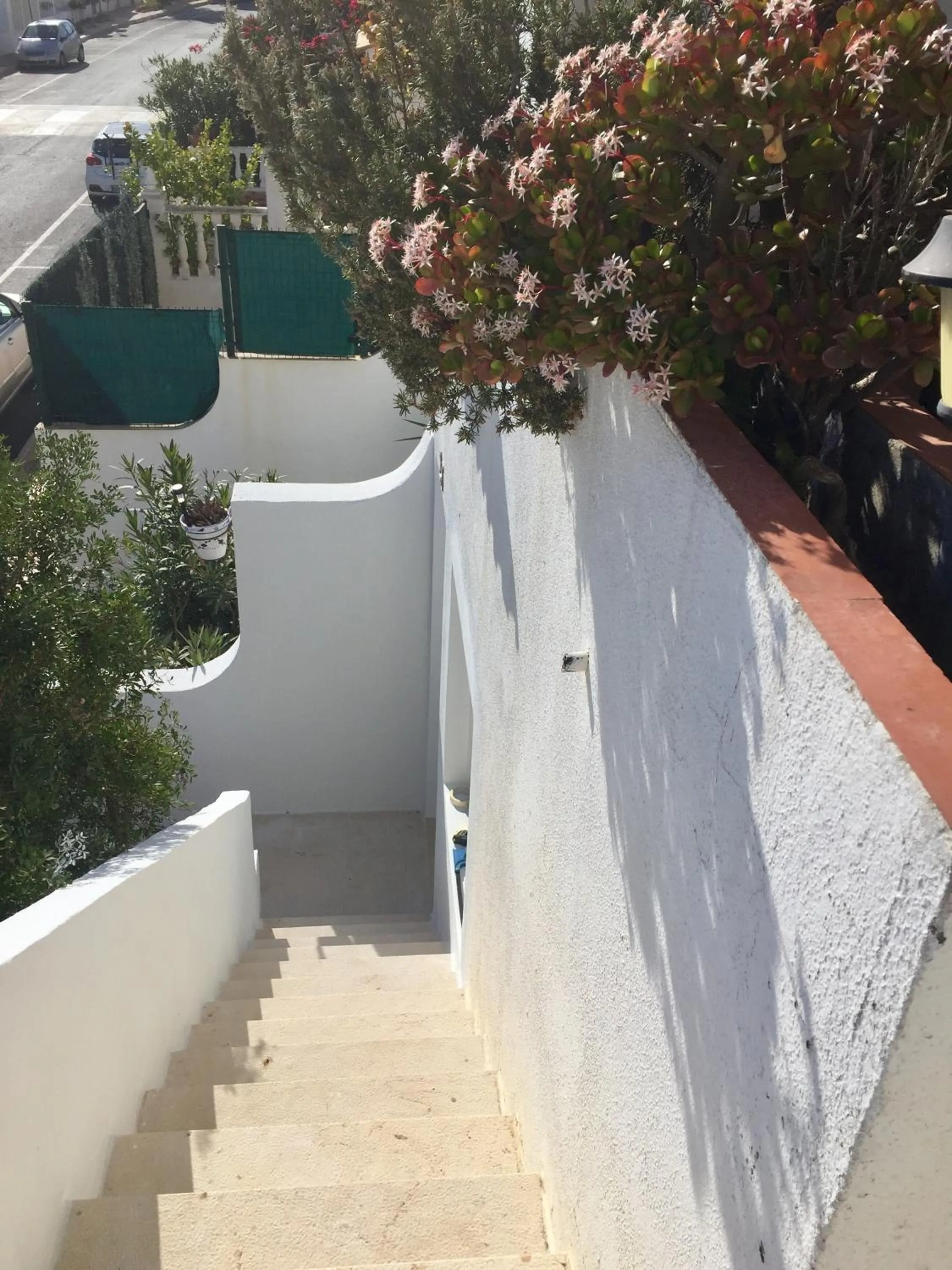 Area and facilities in Bungalow Mediterraneo
