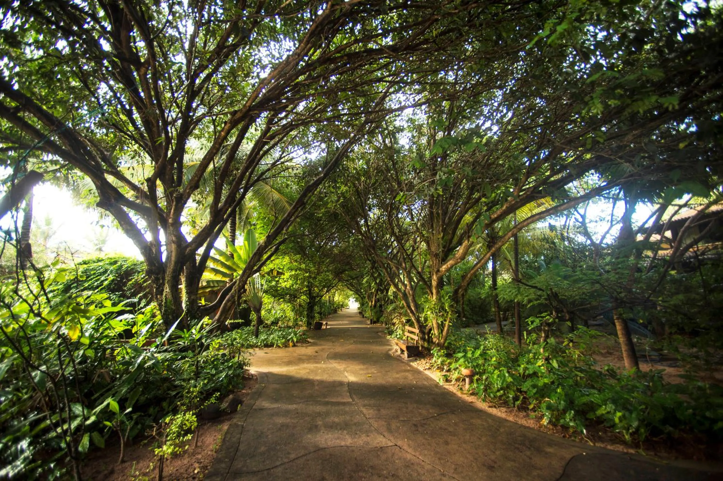 Garden in Bupitanga Hotel