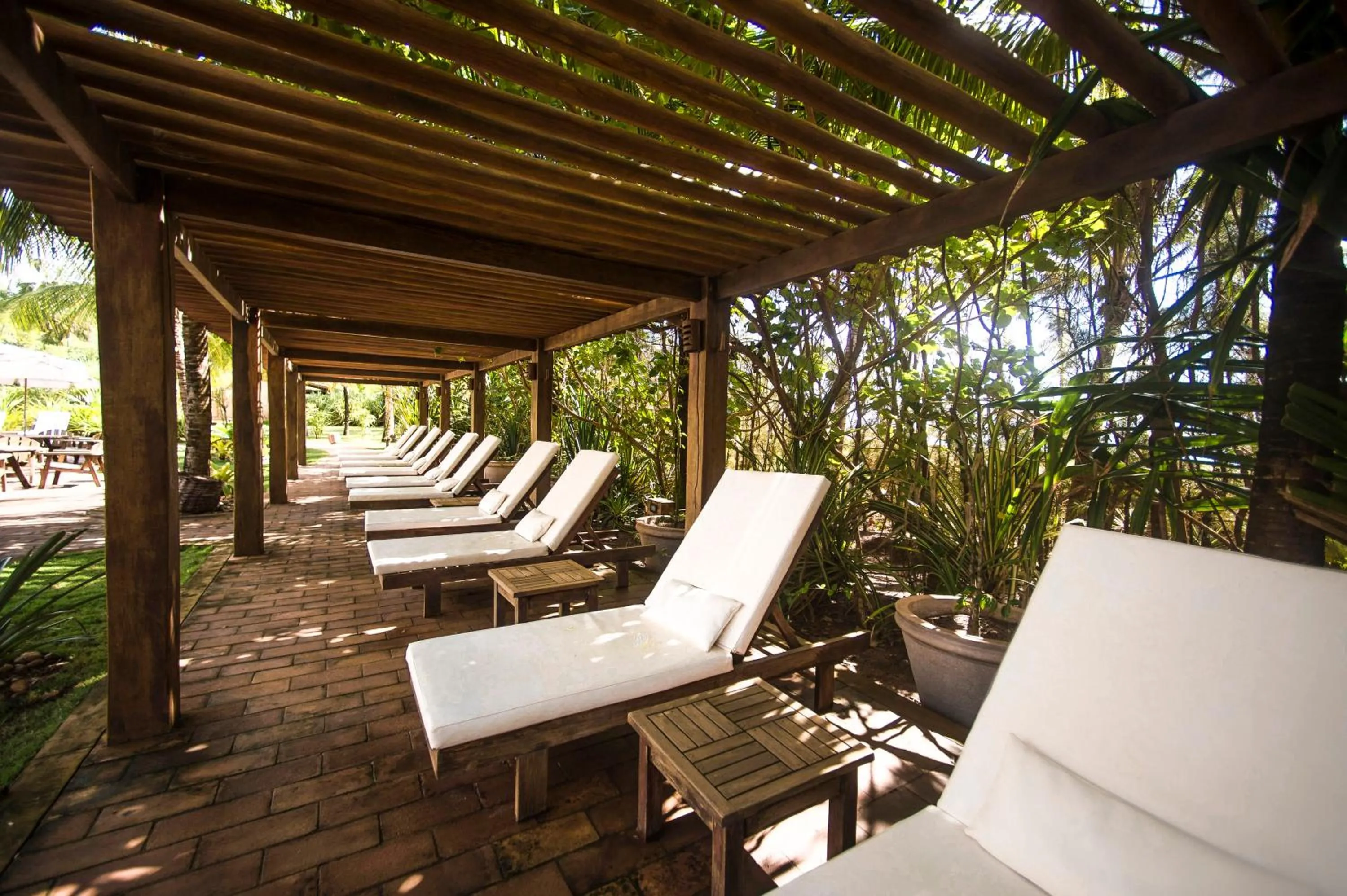 Garden in Bupitanga Hotel