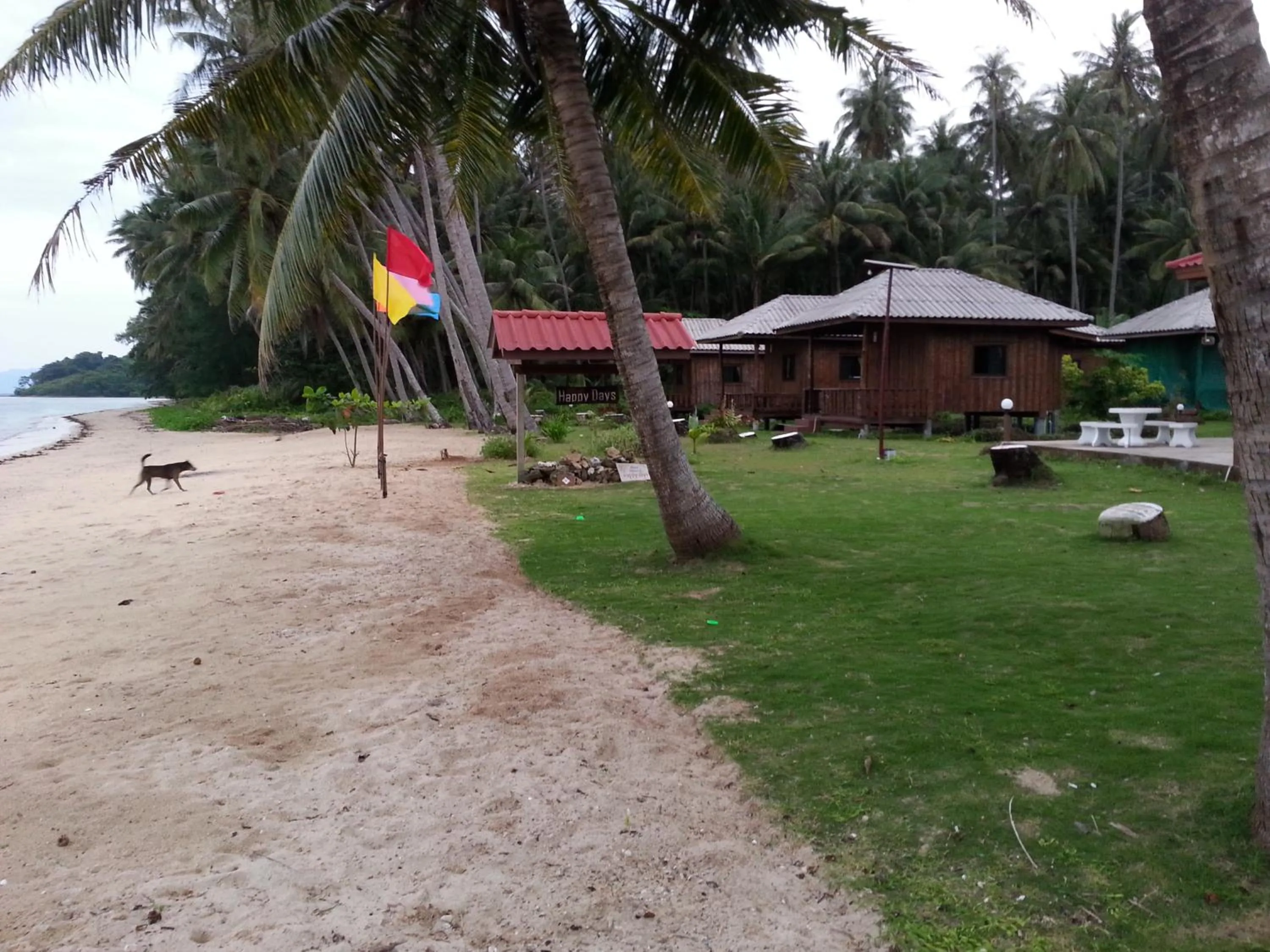 View (from property/room) in Happy Days Resort
